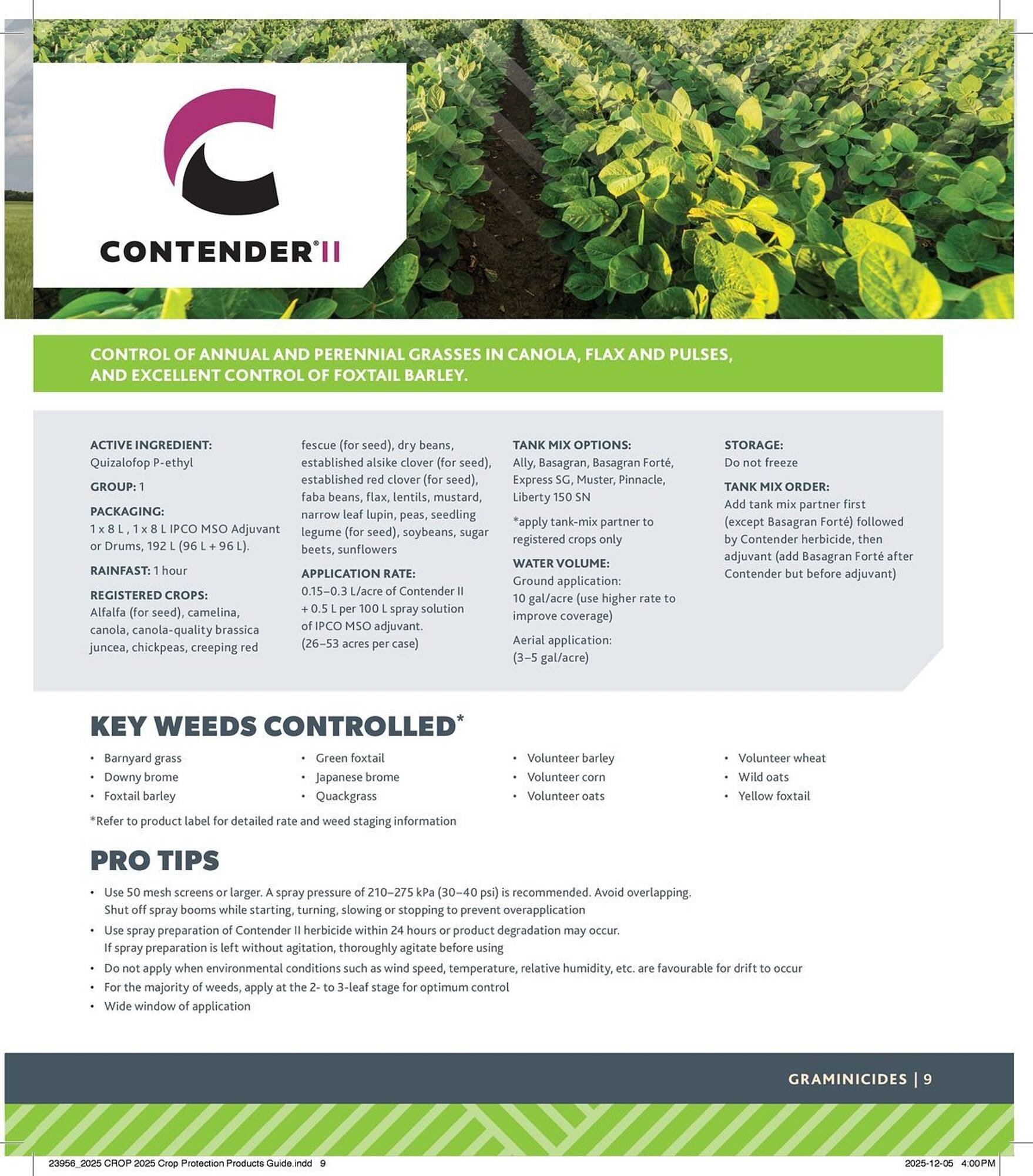 Co-op flyer (2025-12-29 - 2026-12-24) | 9