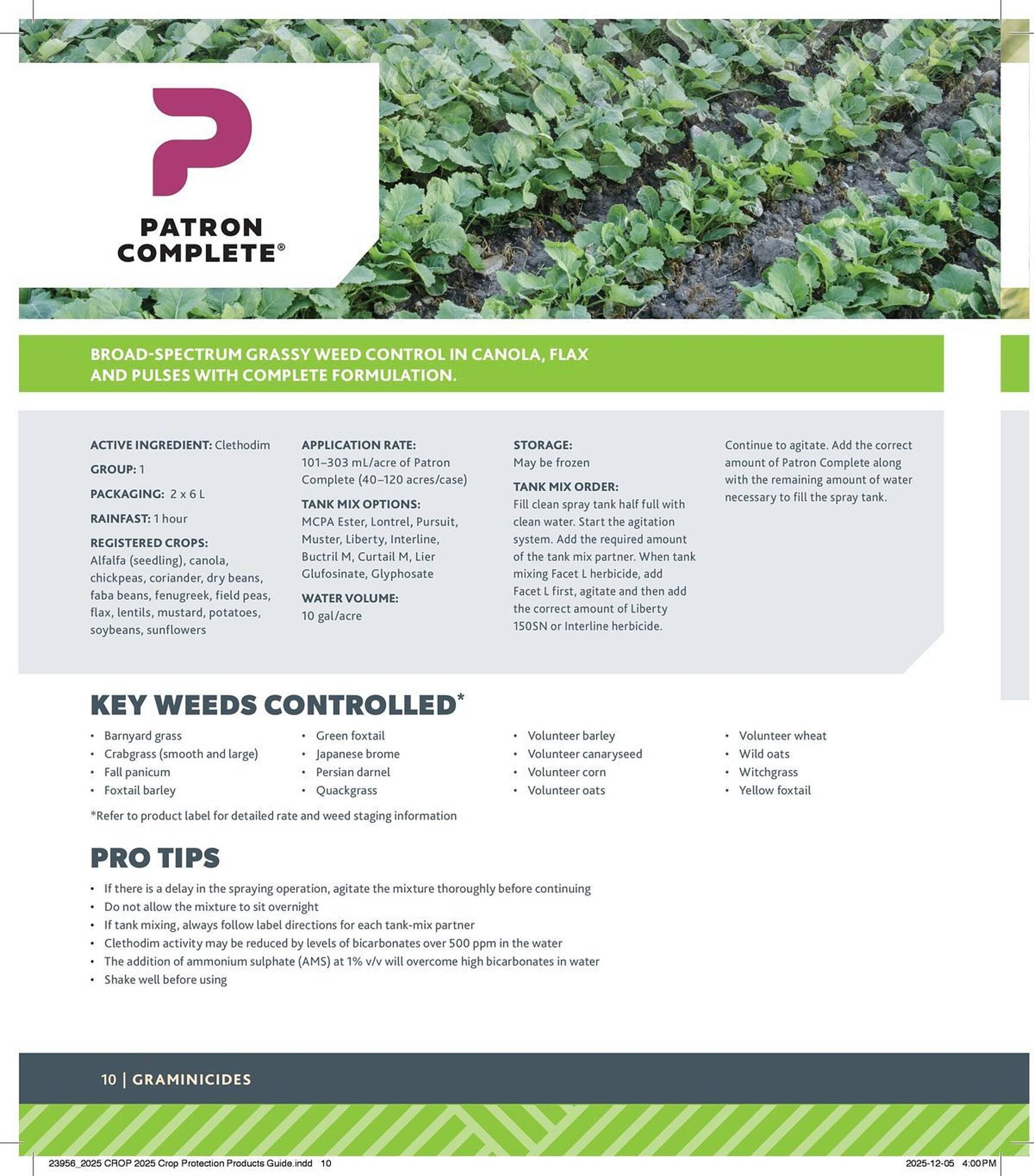 Co-op flyer (2025-12-29 - 2026-12-24) | 10