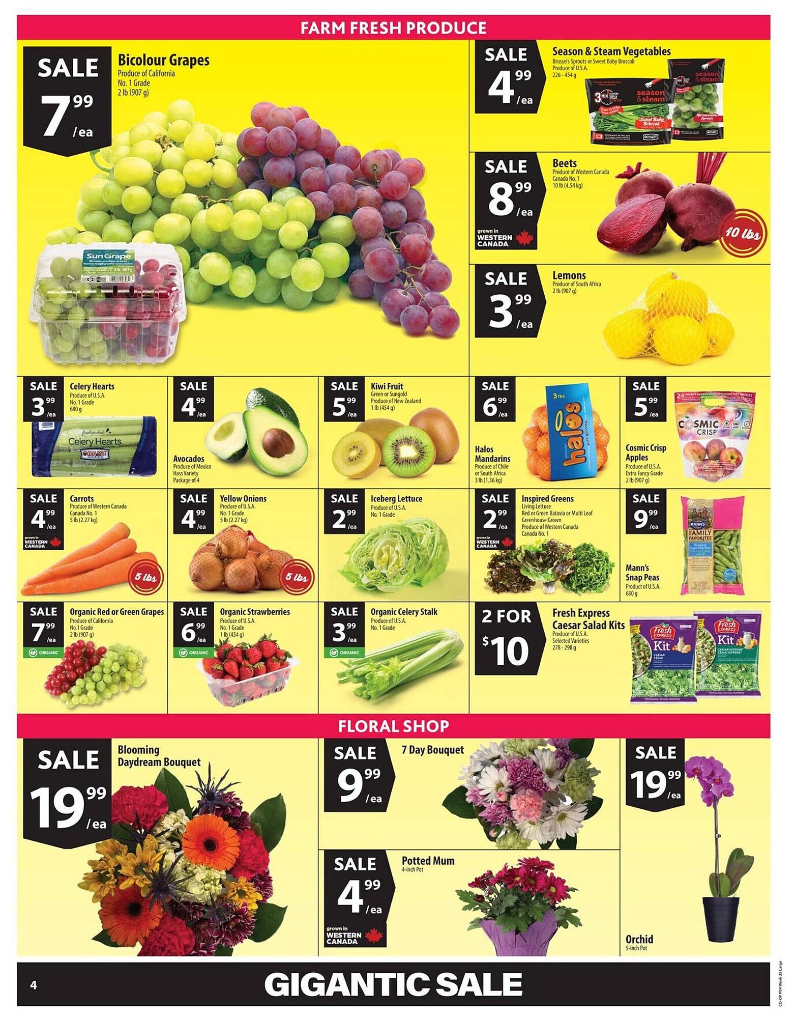 Co-op flyer