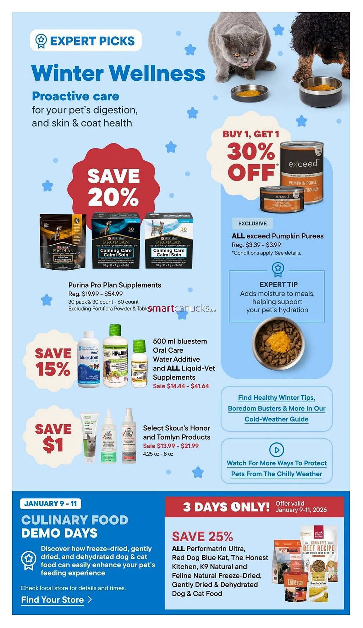 Petvalu flyer