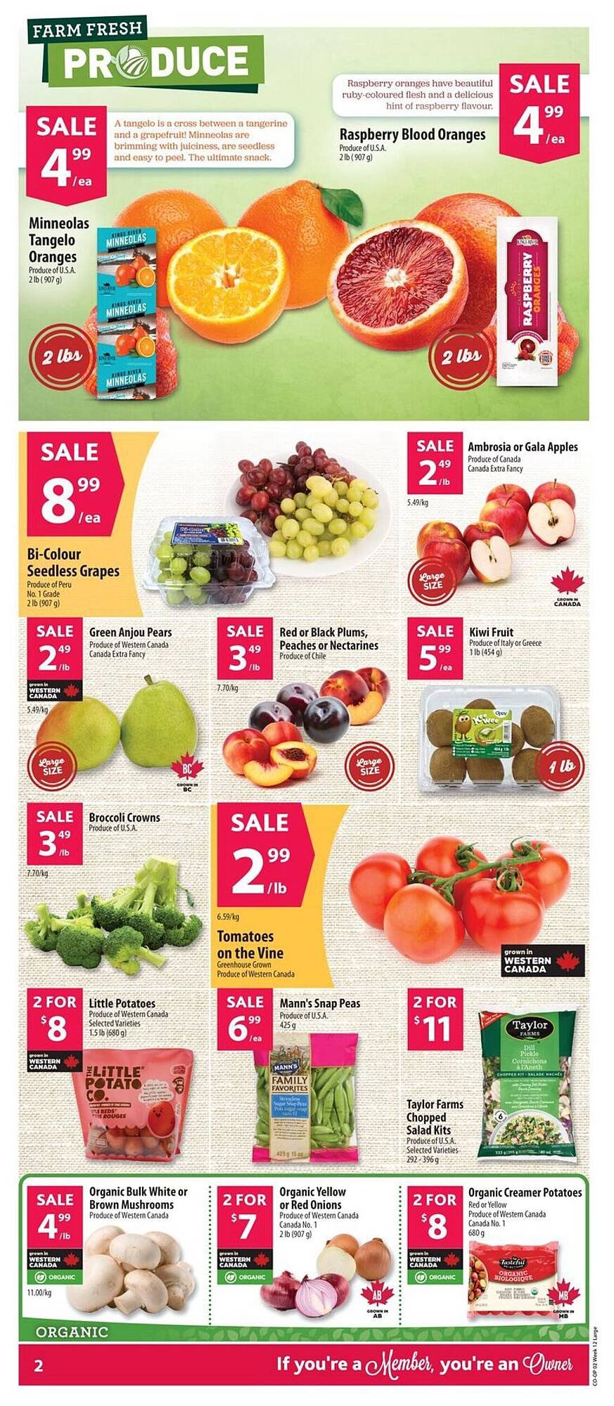 Co-op flyer (2026-03-19 - 2026-03-25) | 7