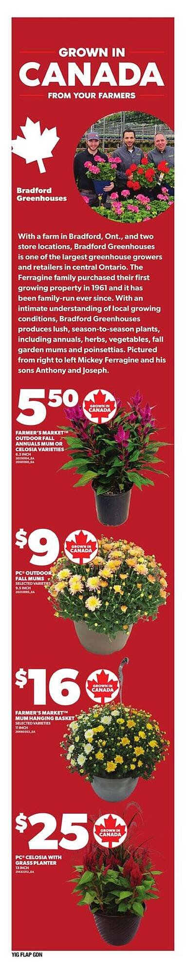 Independent Grocer flyer