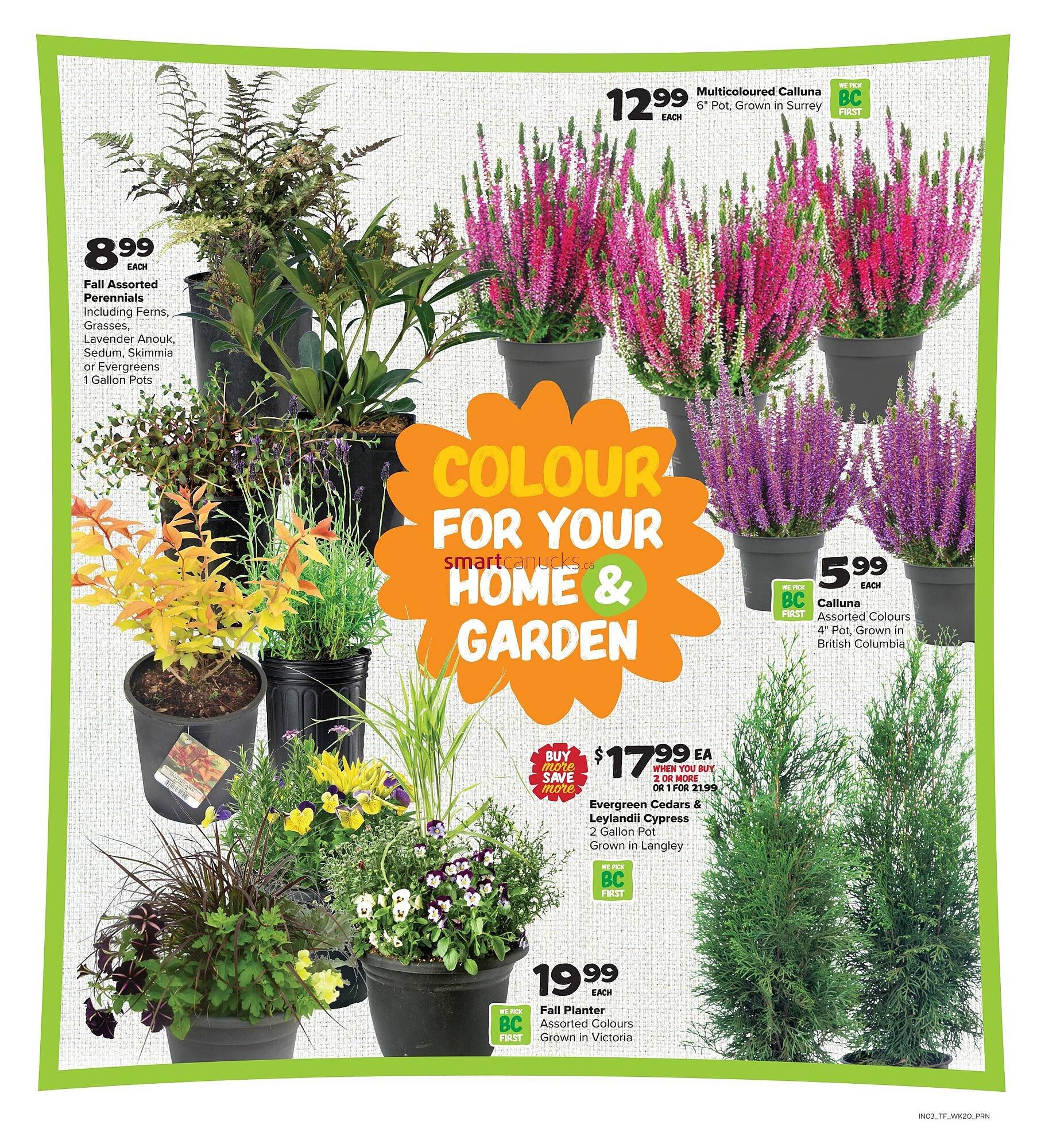 Thrifty Foods flyer