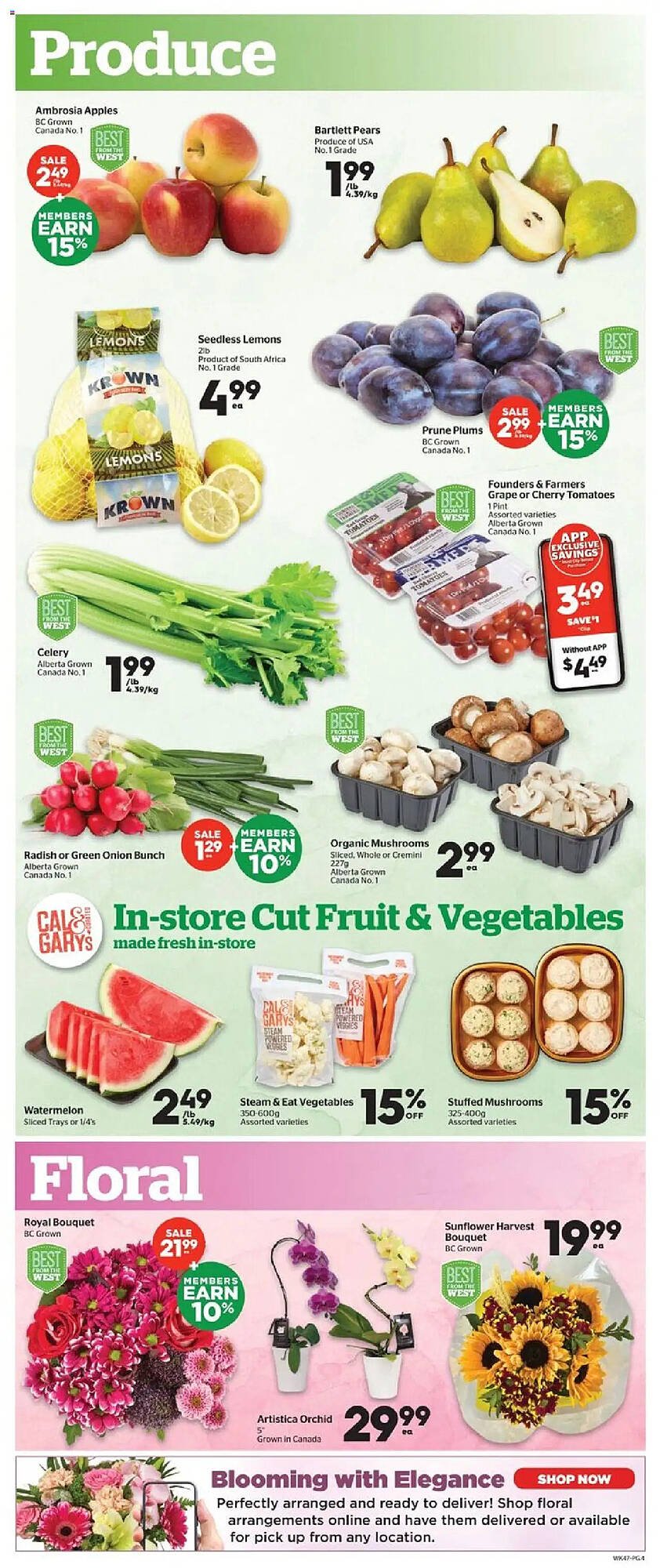 Calgary Co-op flyer
