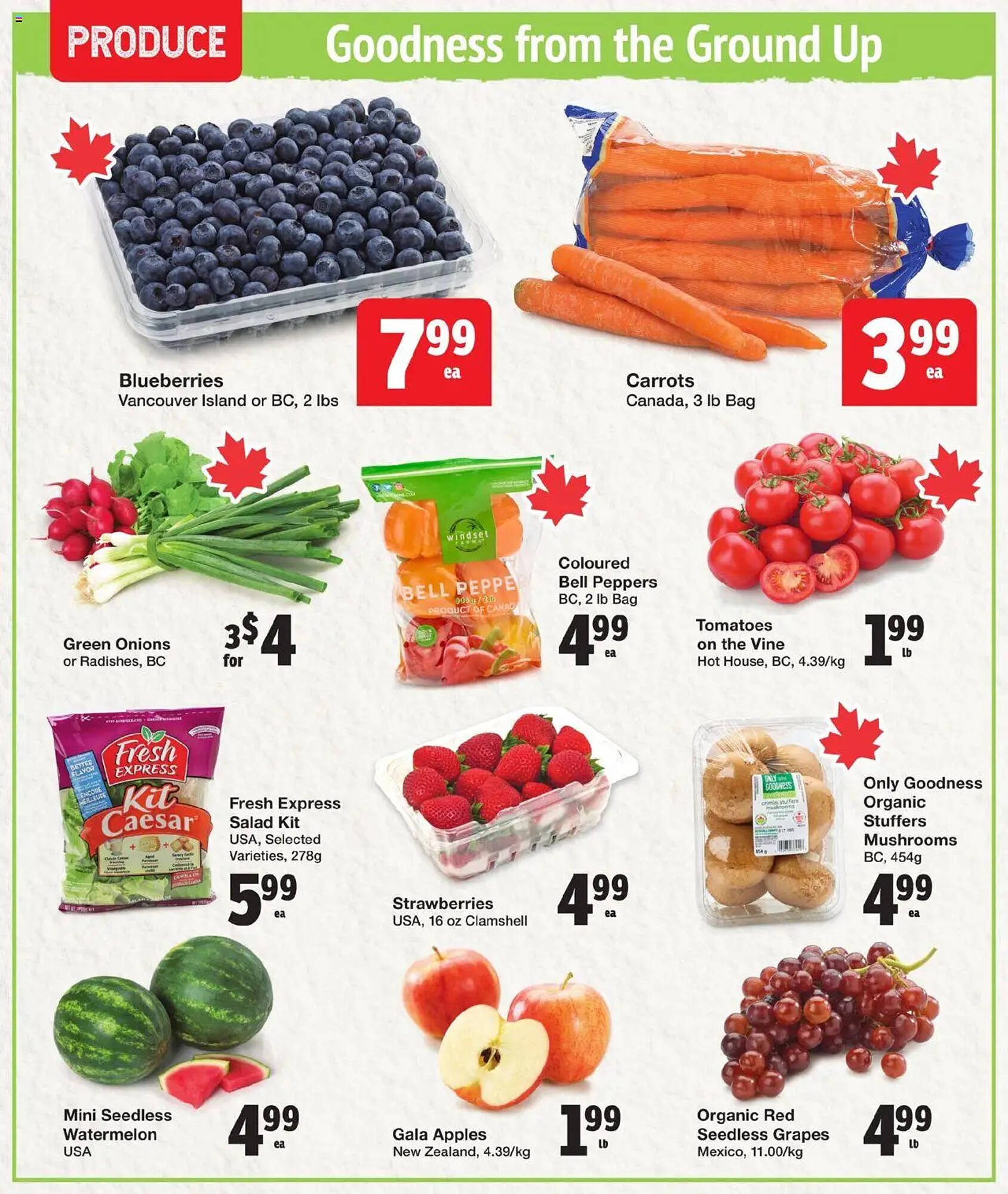 Quality Foods flyer