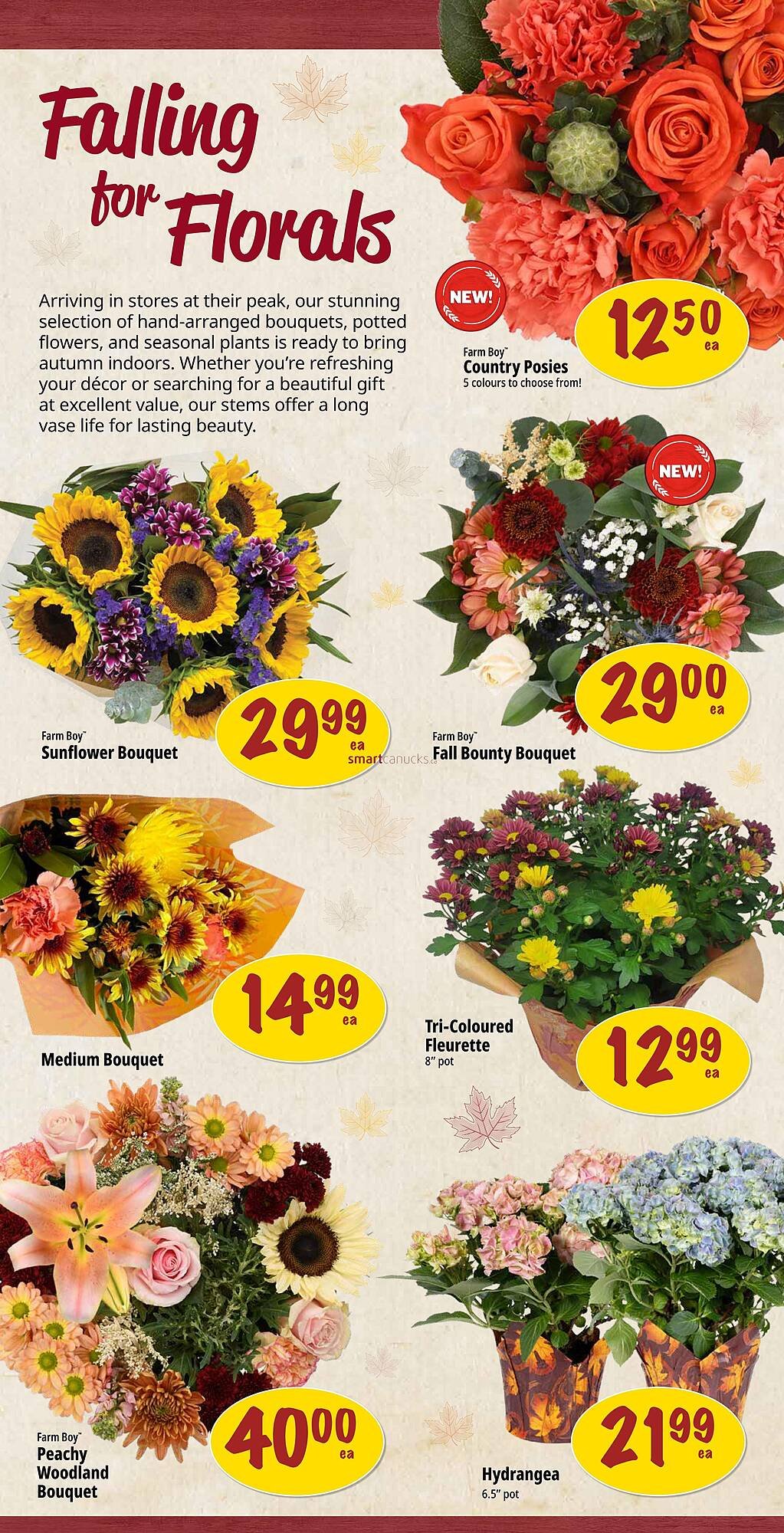 Farm Boy flyer
