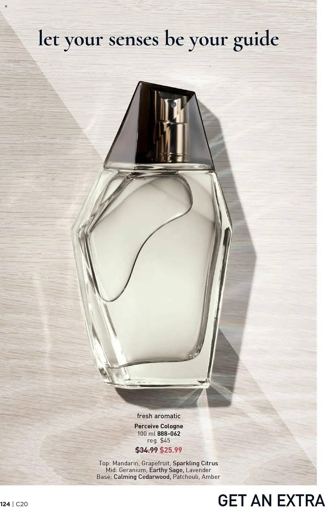 AVON flyer