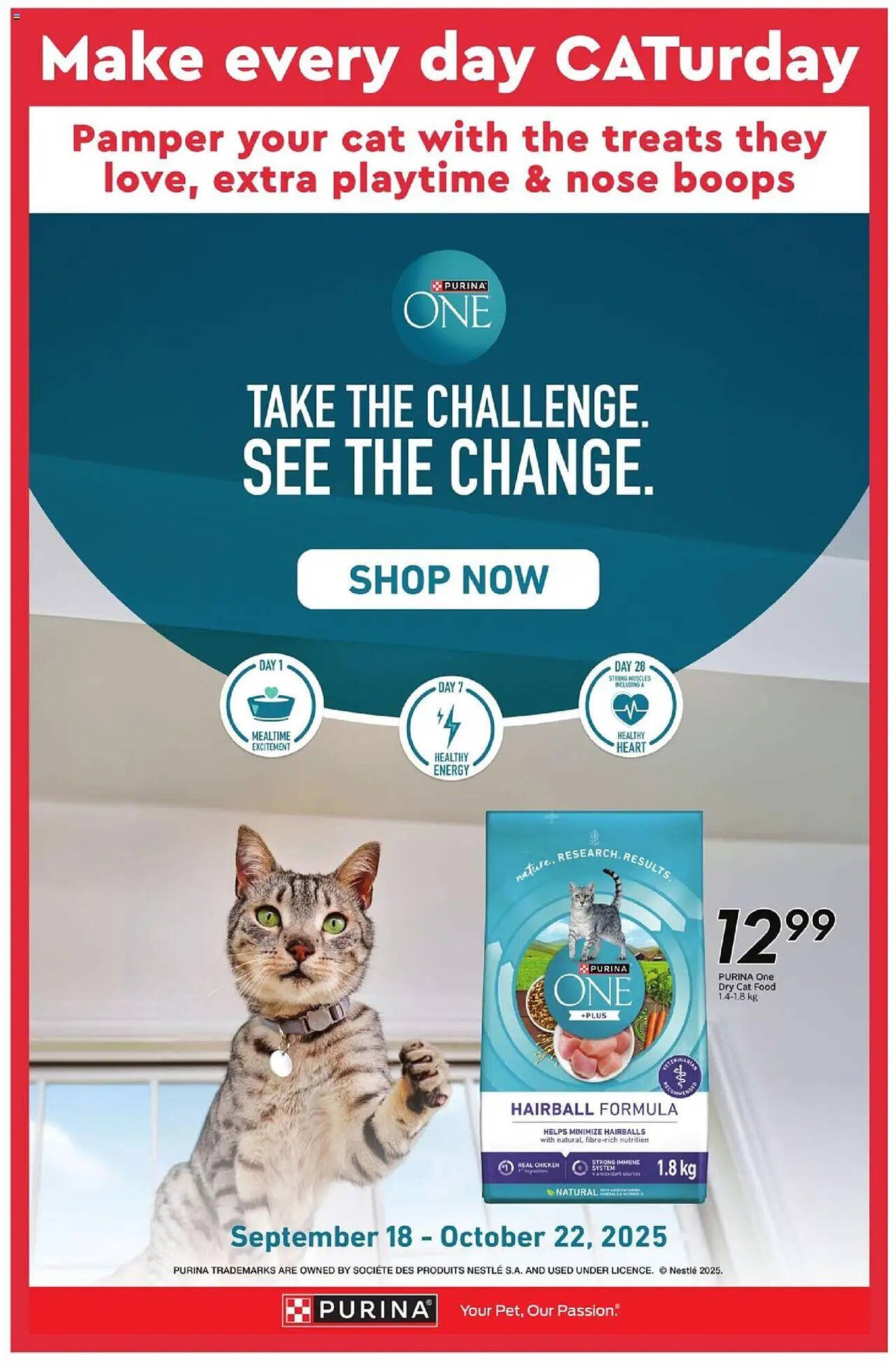 Safeway flyer