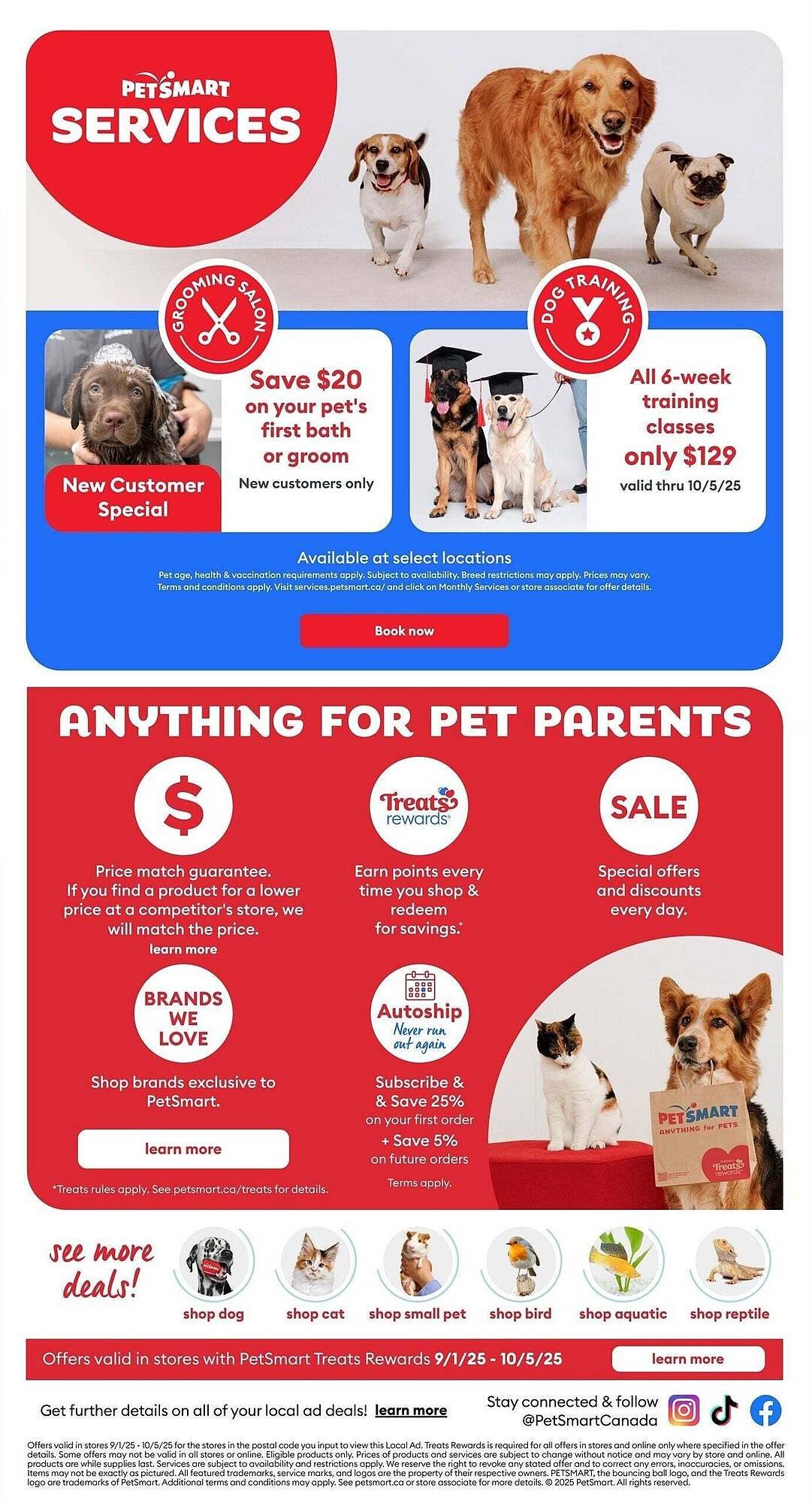 Petsmart flyer