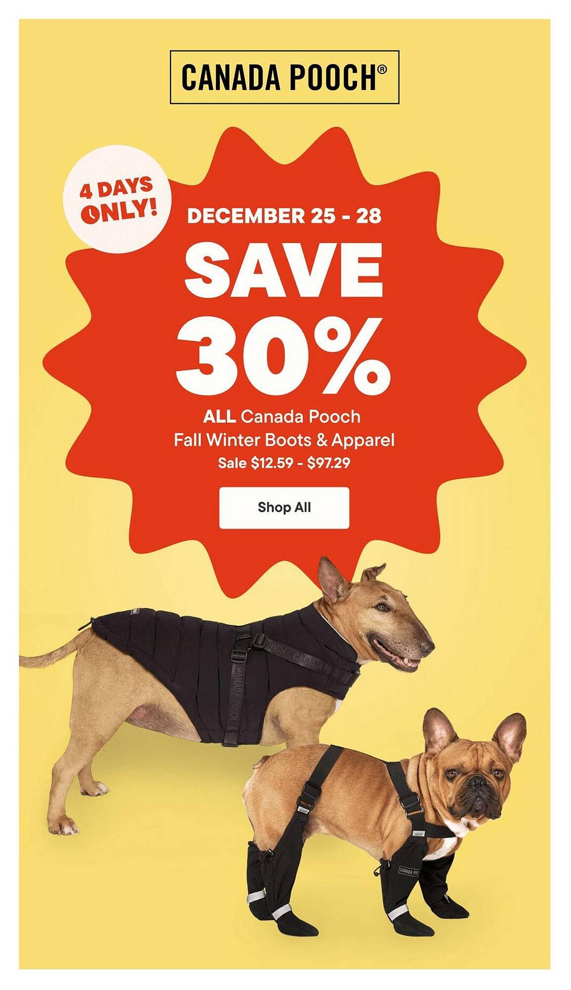 Cabela's flyer (2025-12-25 - 2026-01-07) | 3