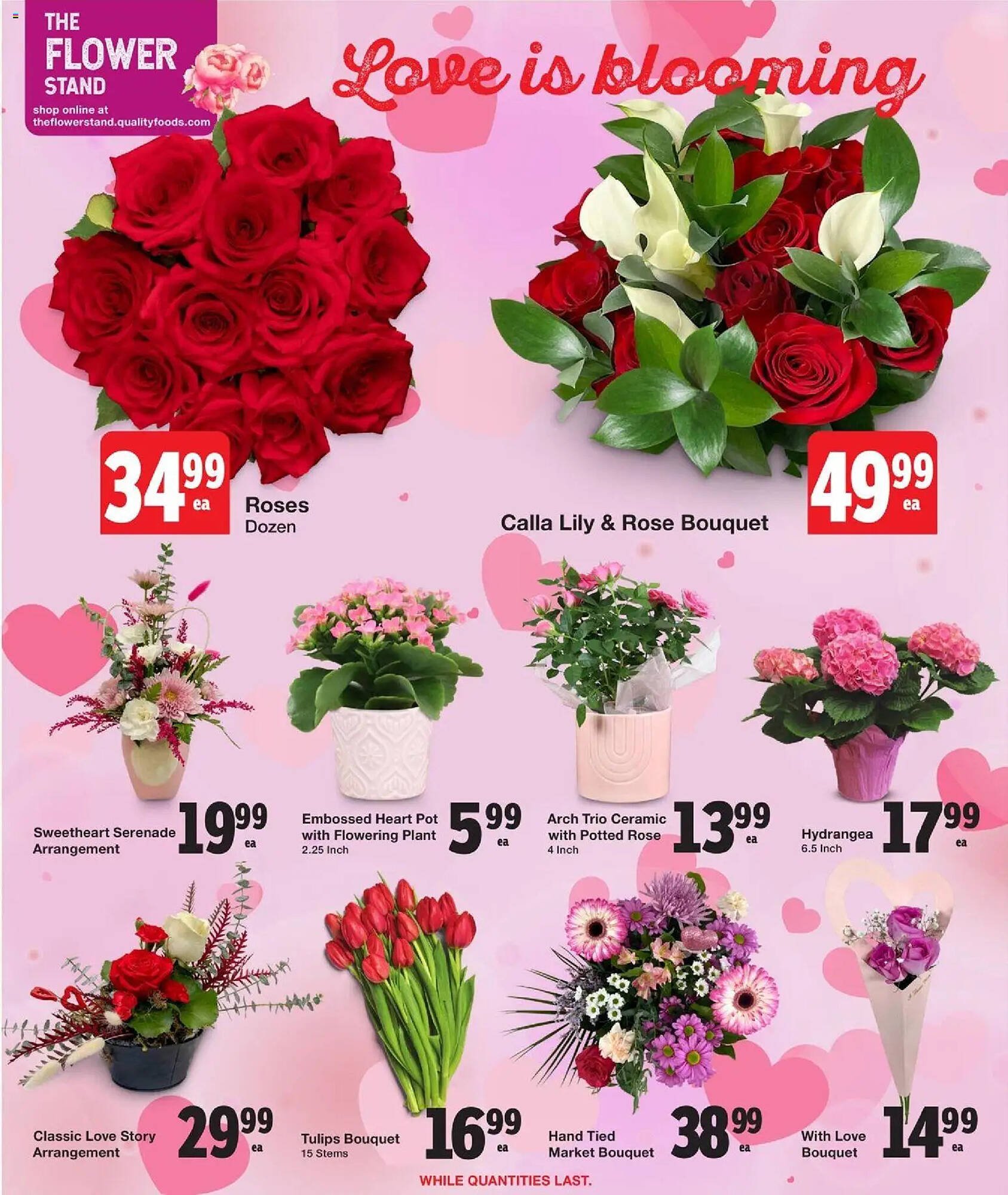 Quality Foods flyer (2026-02-12 - 2026-02-18) | 3