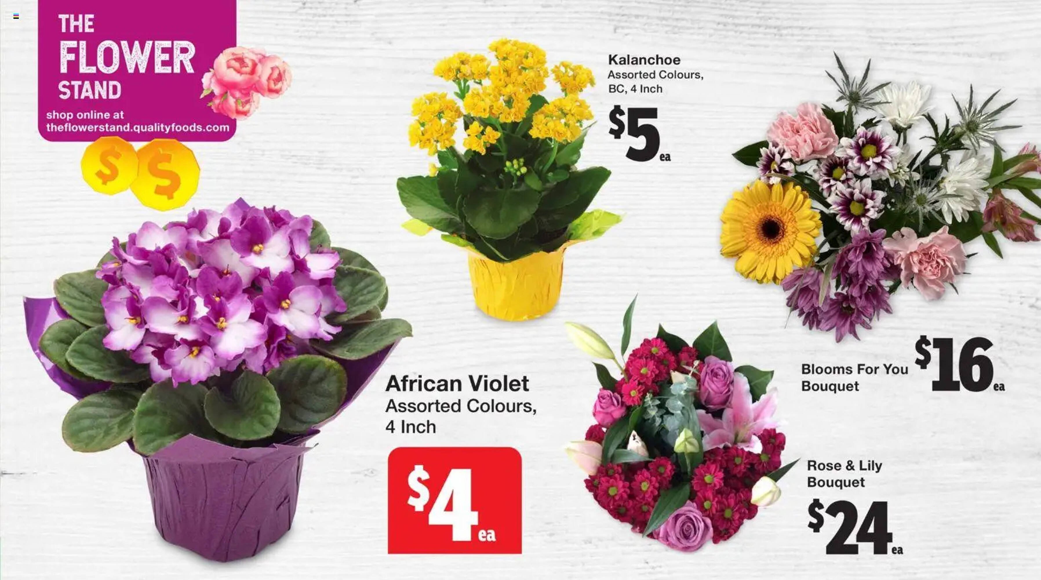 Quality Foods flyer (2026-01-01 - 2026-01-07) | 5