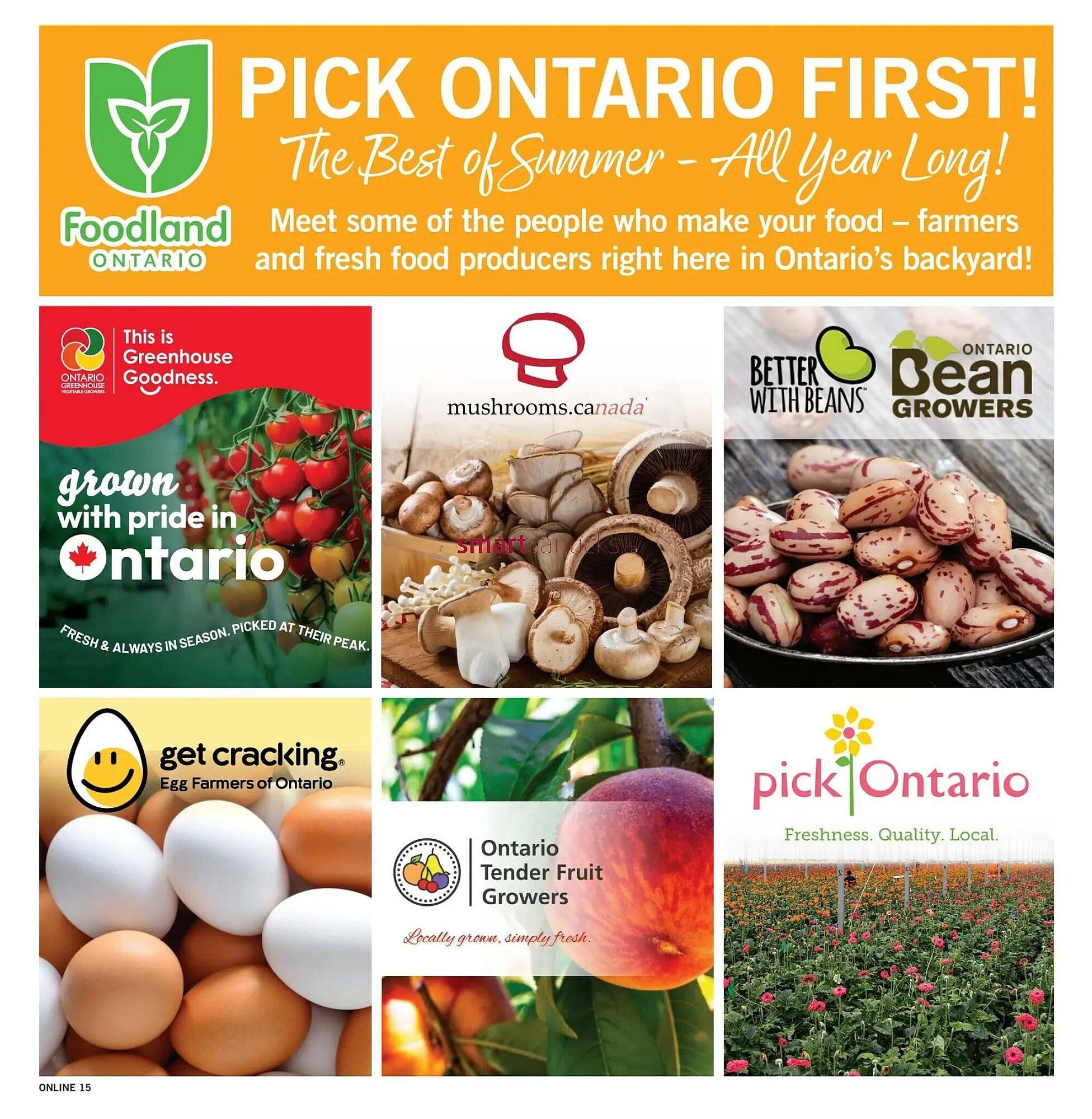 Fortinos flyer