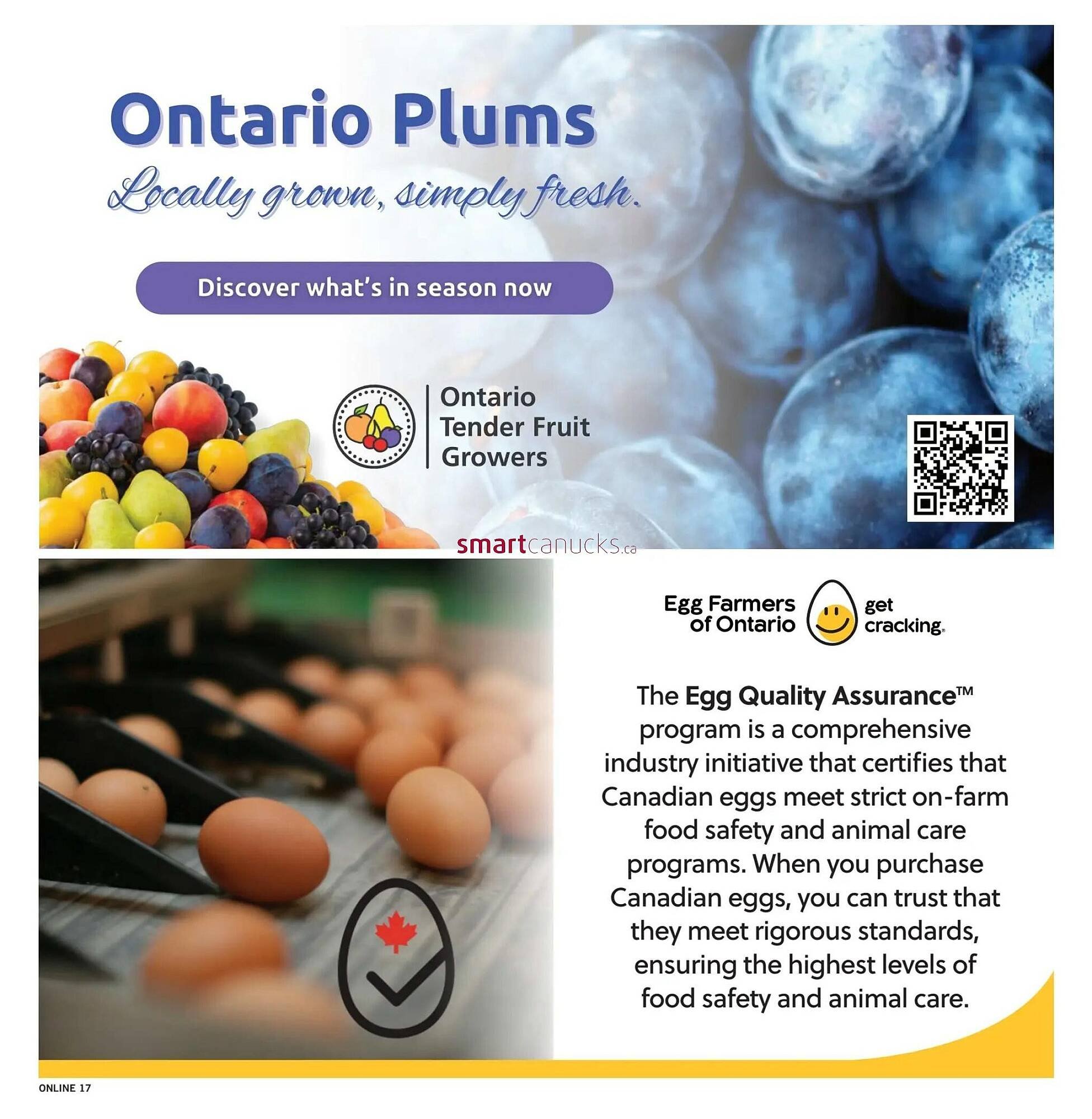 Fortinos flyer