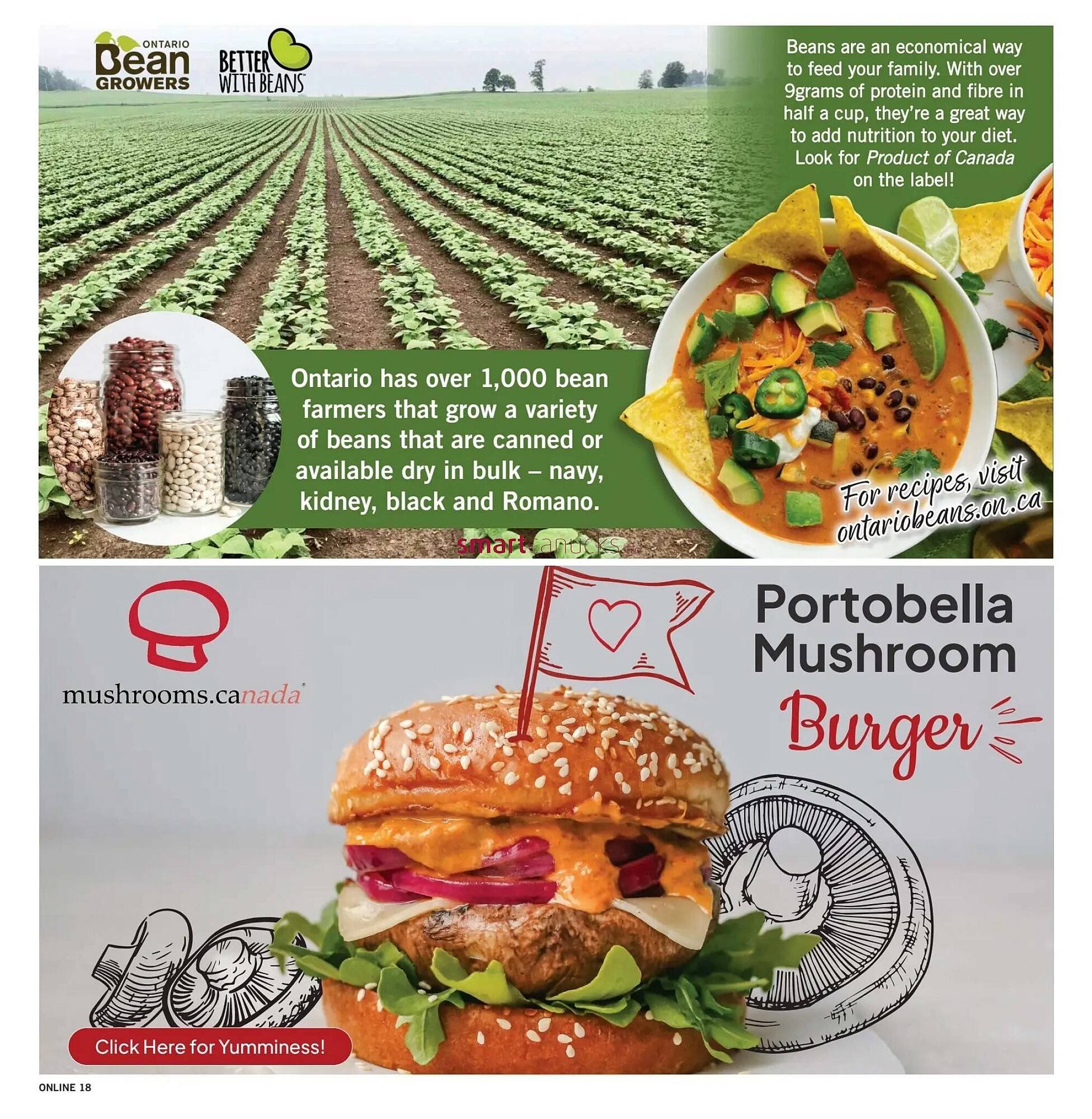 Fortinos flyer