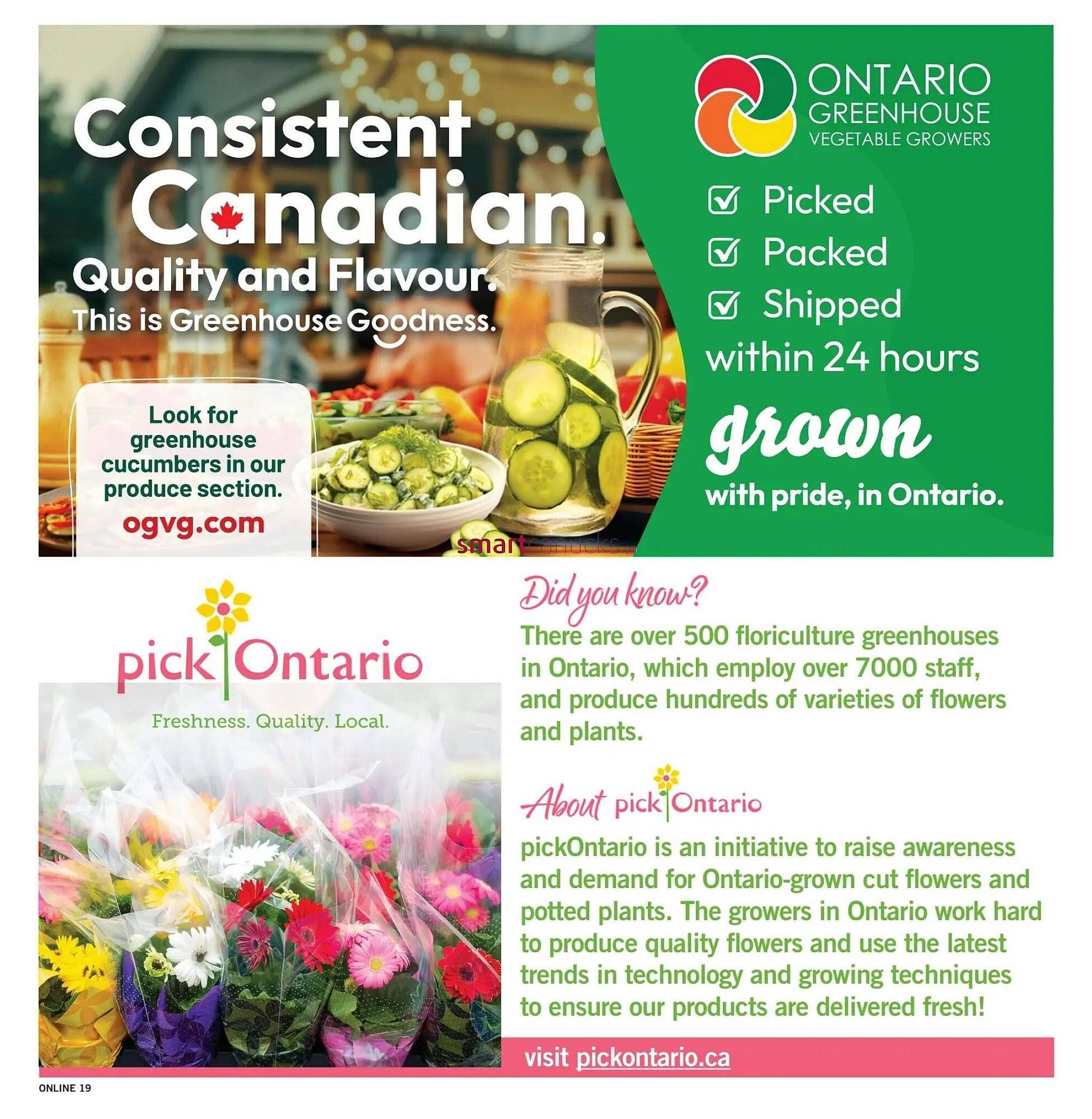 Fortinos flyer