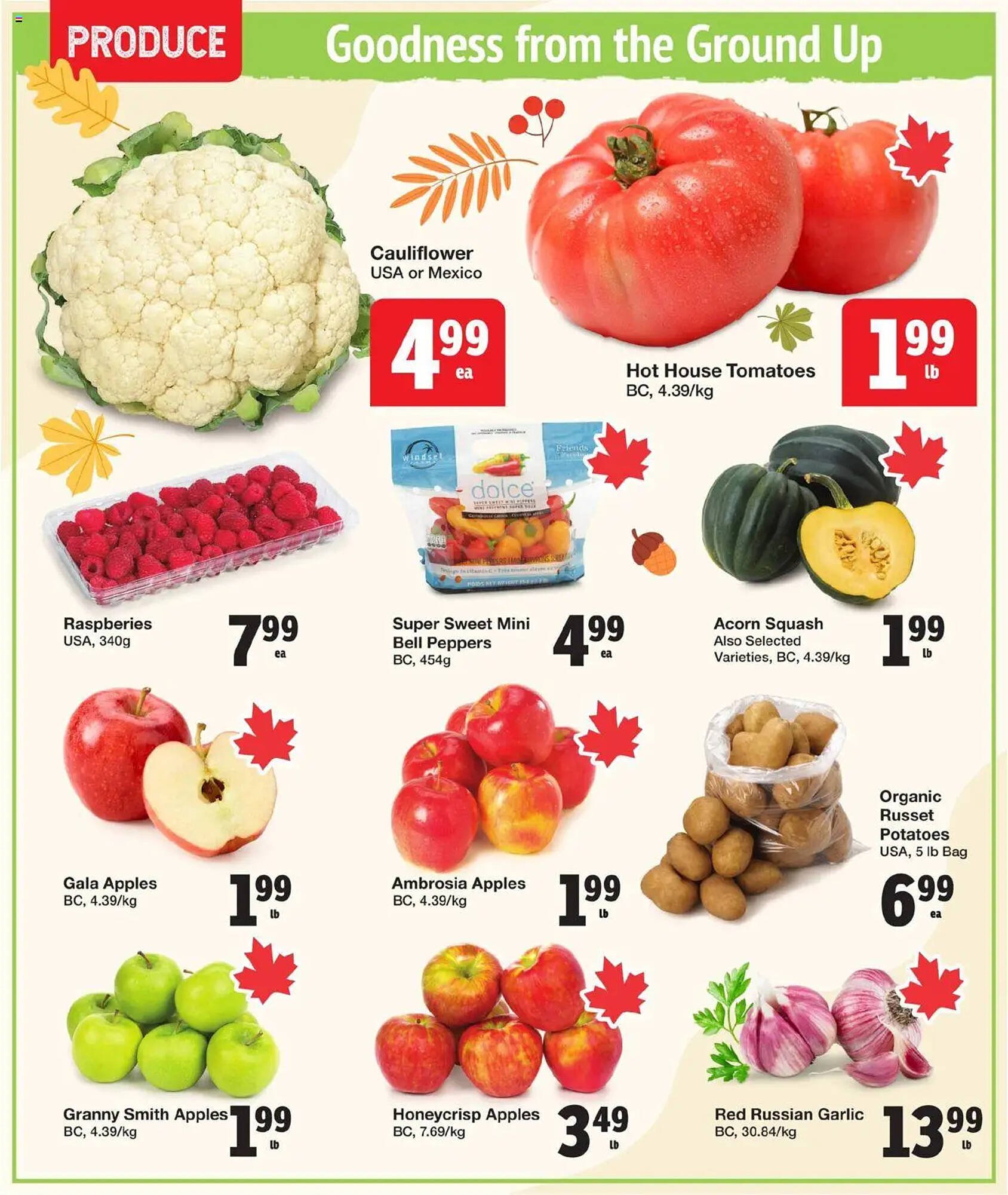 Quality Foods flyer