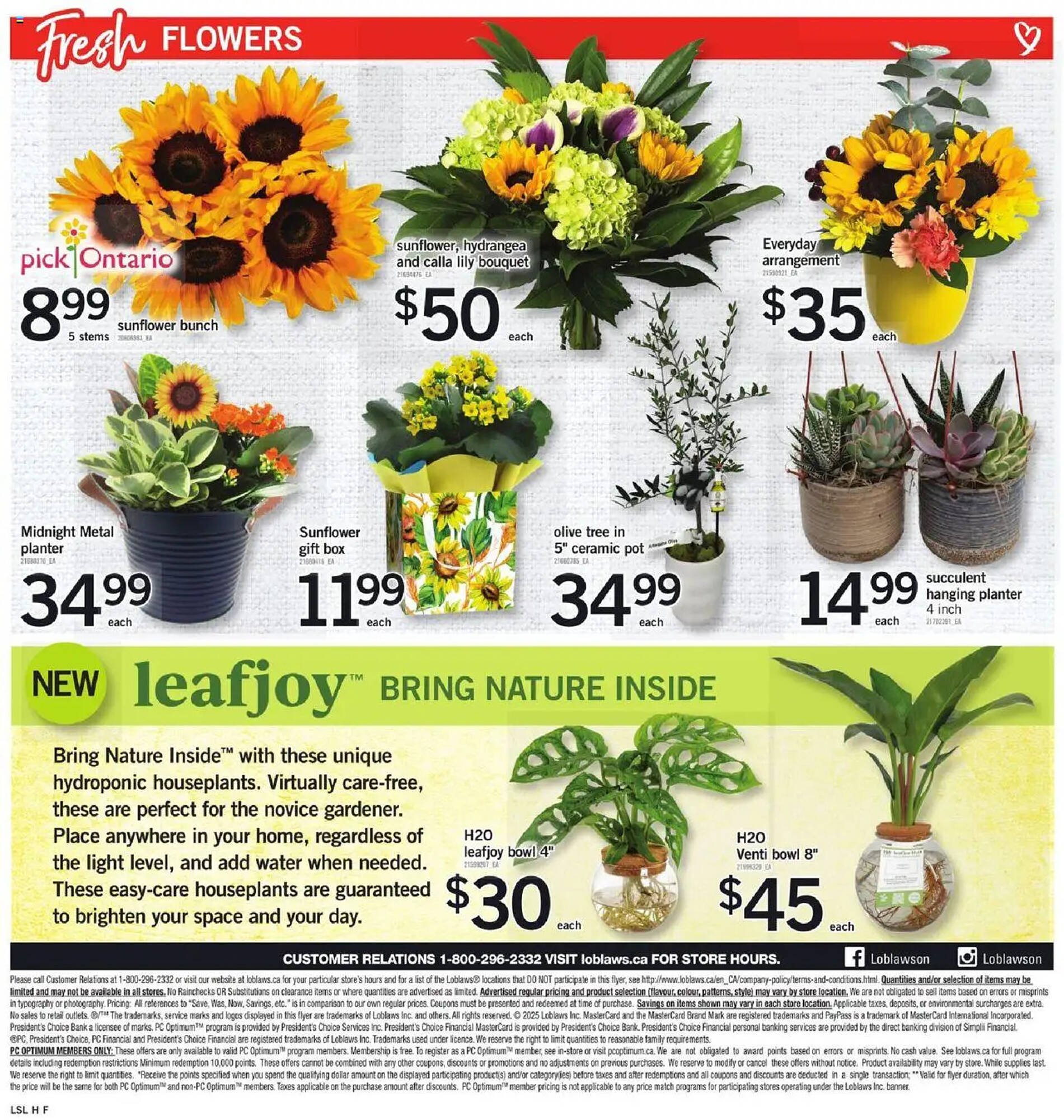 Loblaws flyer