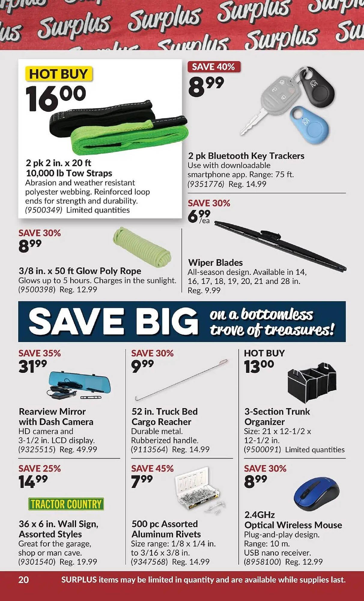 Princess Auto flyer