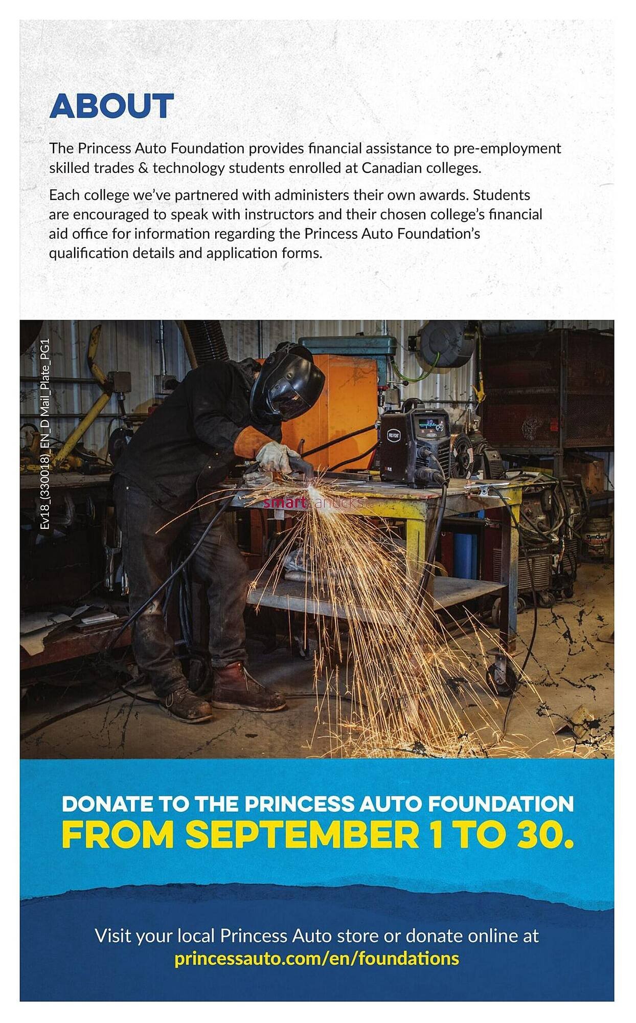 Princess Auto flyer