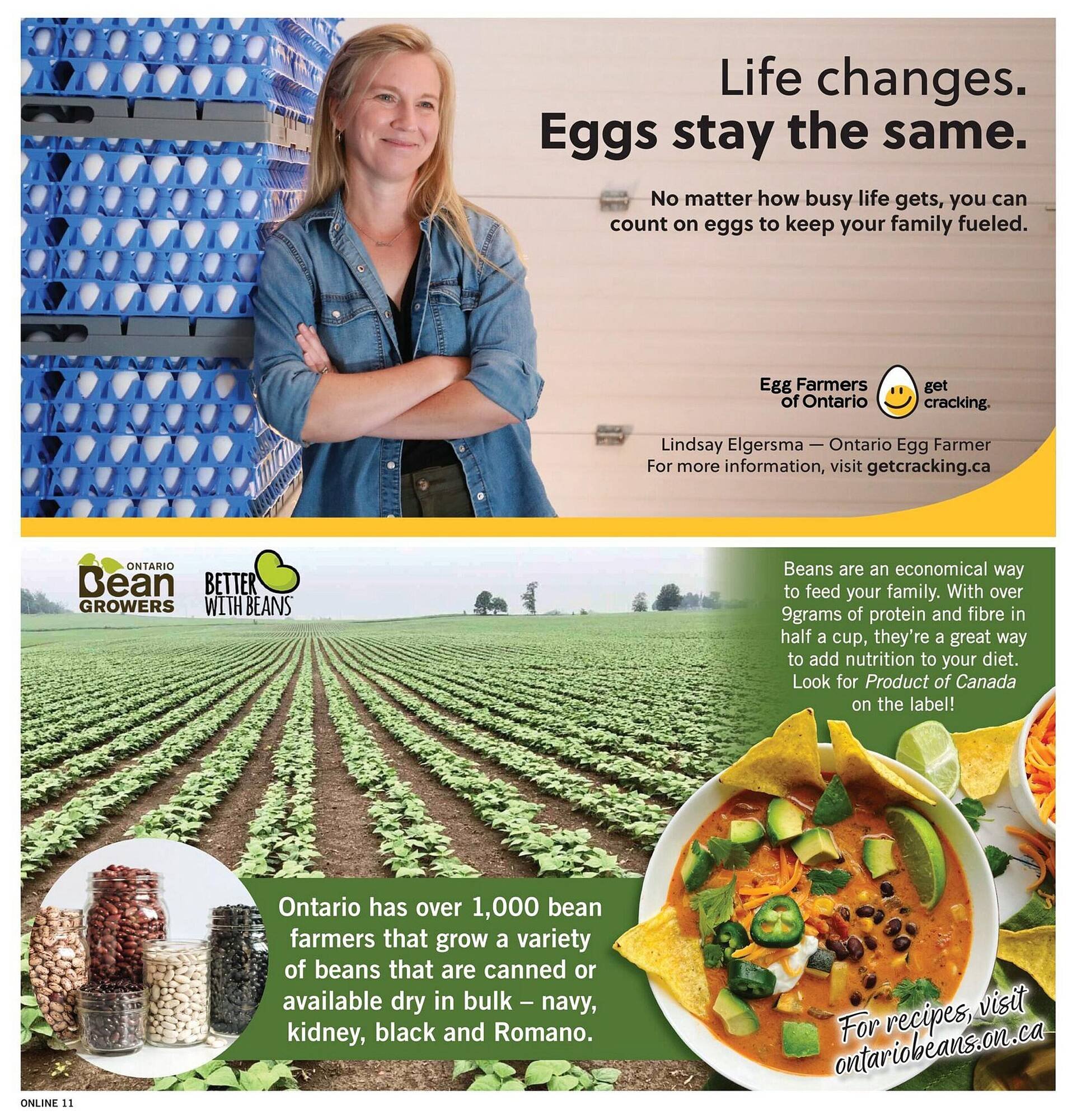 Fortinos flyer