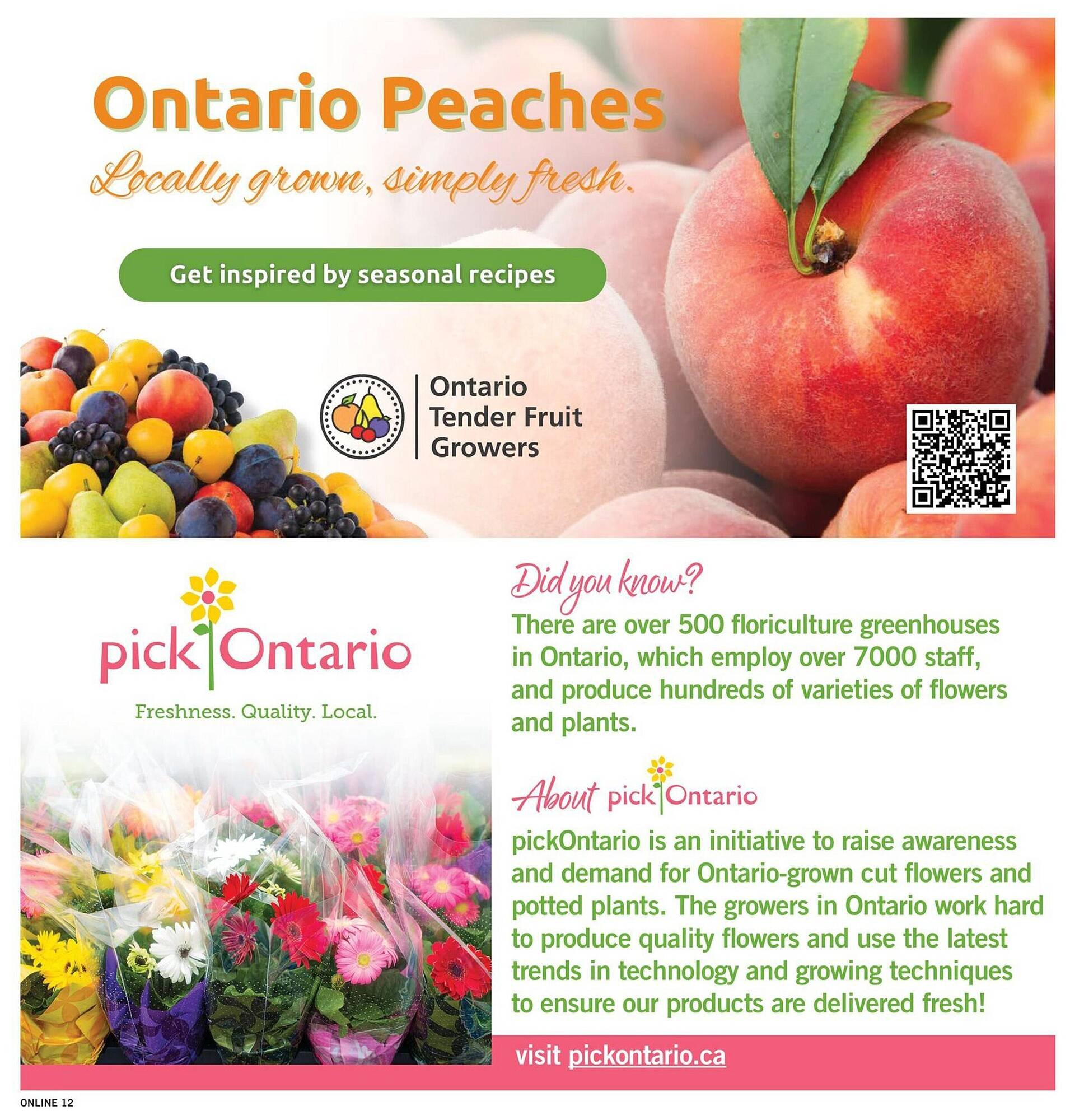 Fortinos flyer