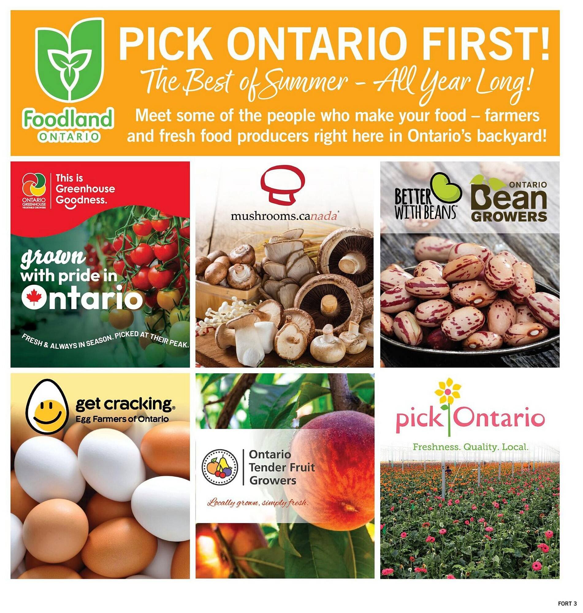Fortinos flyer