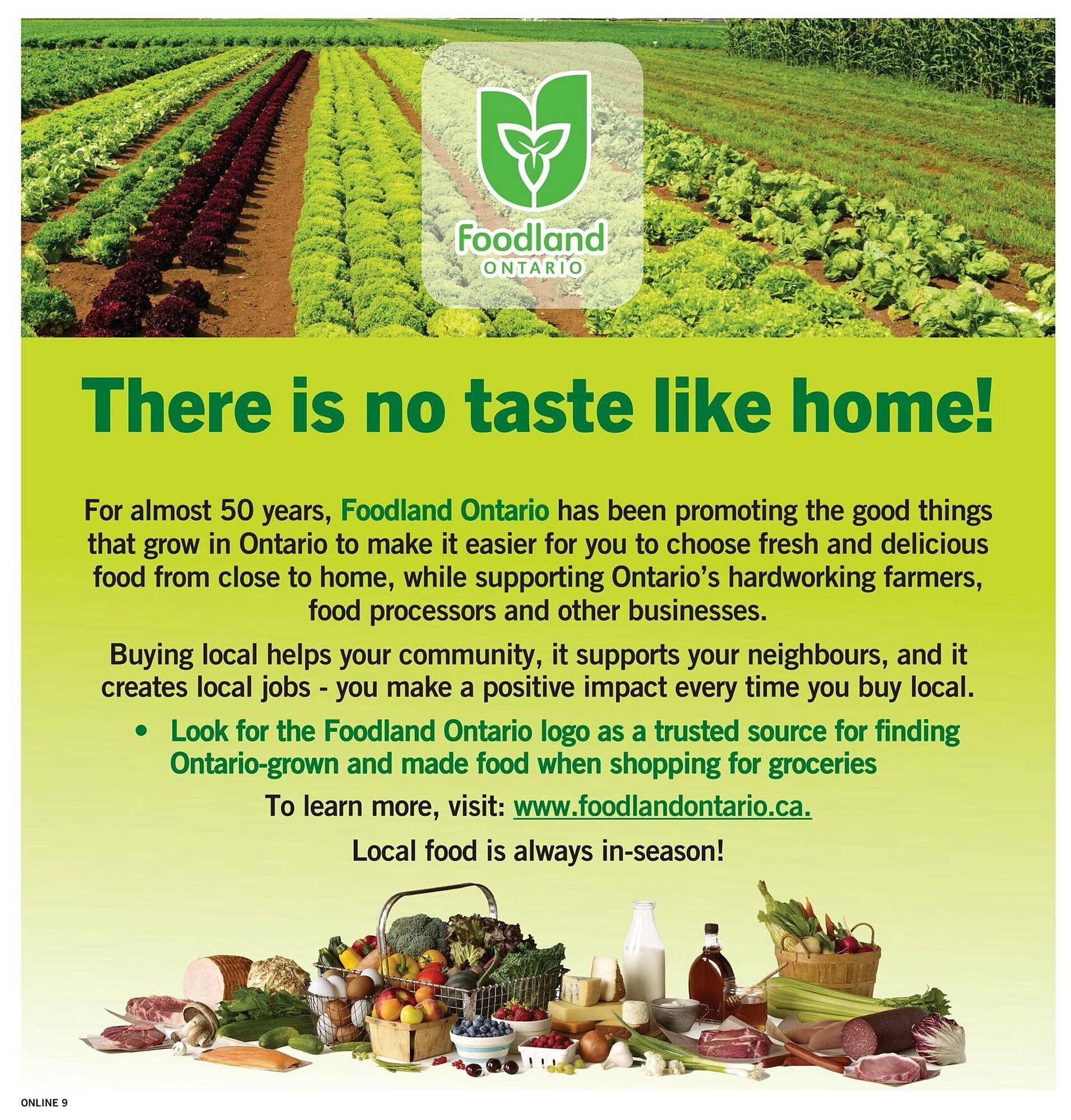 Fortinos flyer