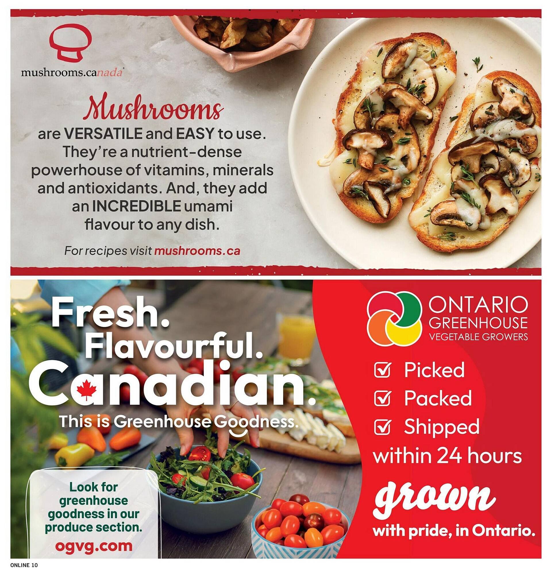 Fortinos flyer