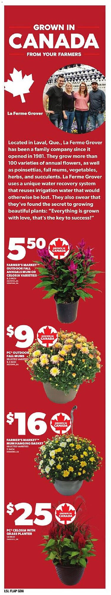 Loblaws flyer