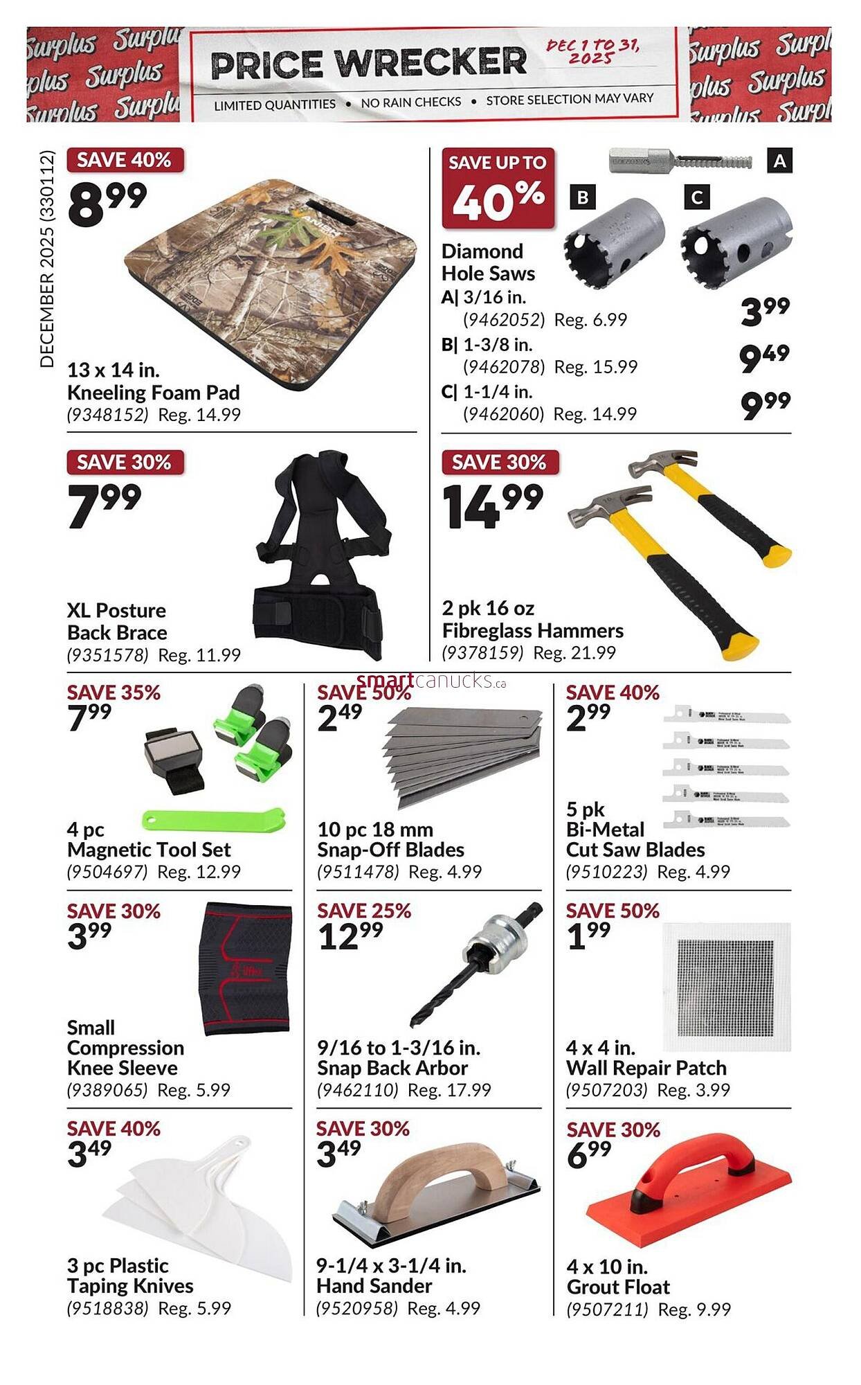 Princess Auto flyer (2025-11-30 - 2025-12-06) | 17