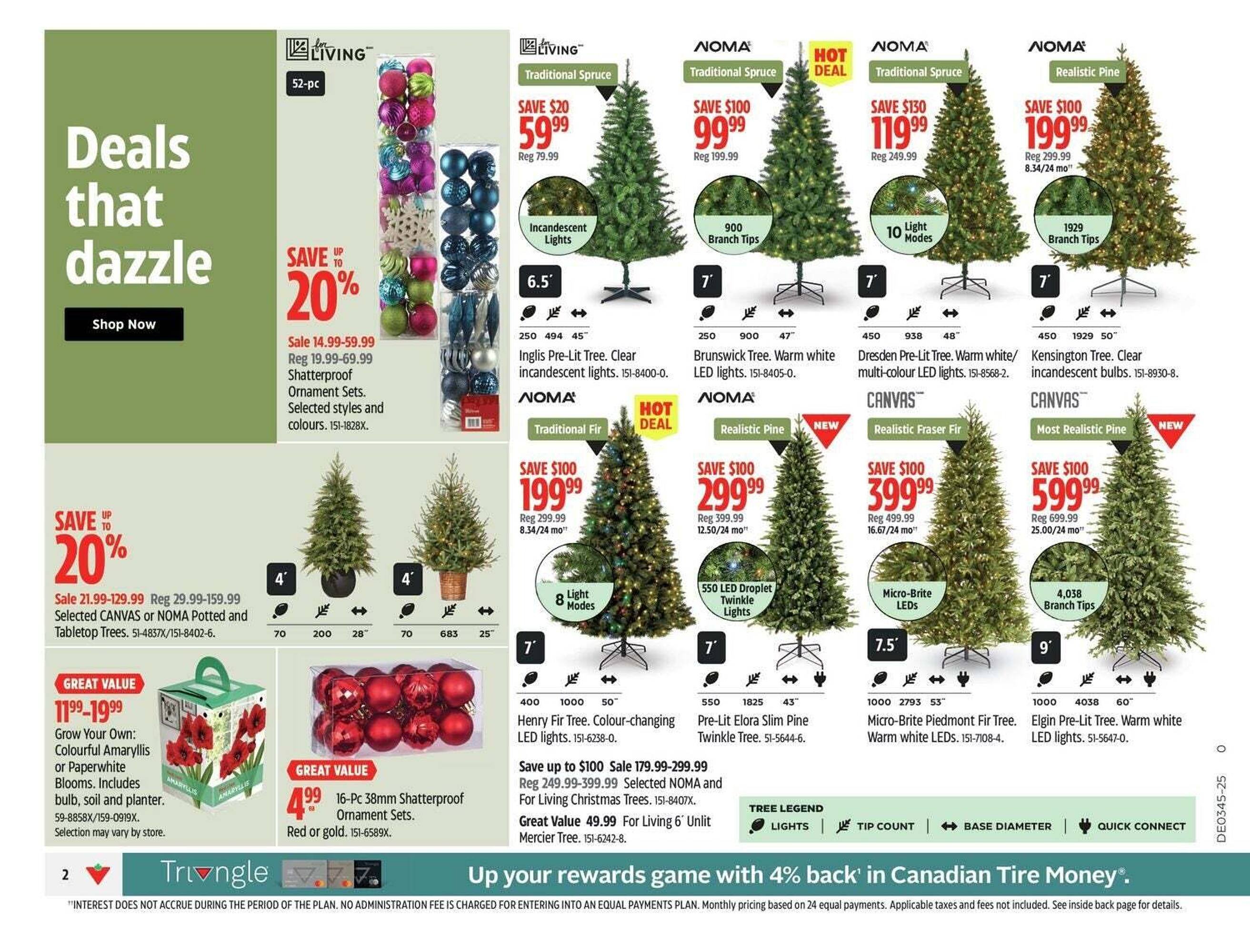 Canadian Tire flyer (2025-10-31 - 2025-11-07) | 5