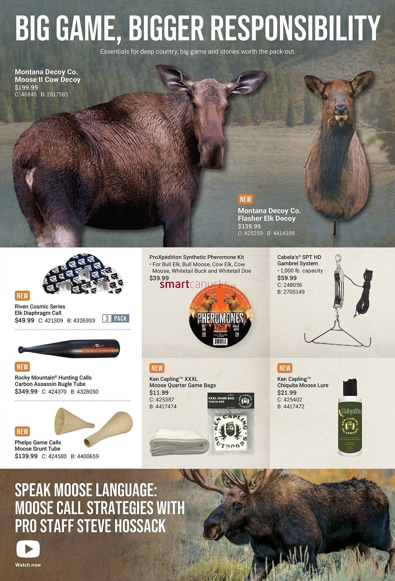 Cabela's flyer
