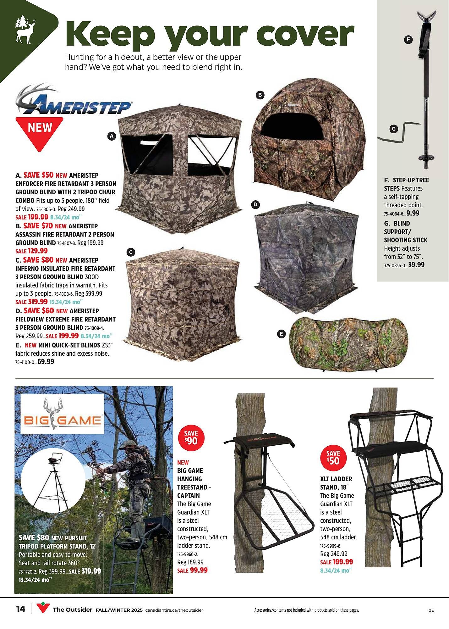 Canadian Tire flyer