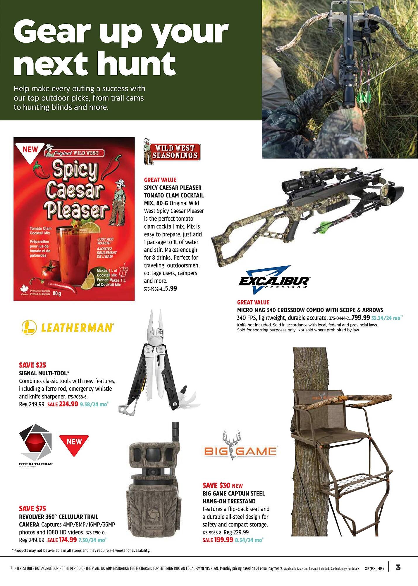 Canadian Tire flyer