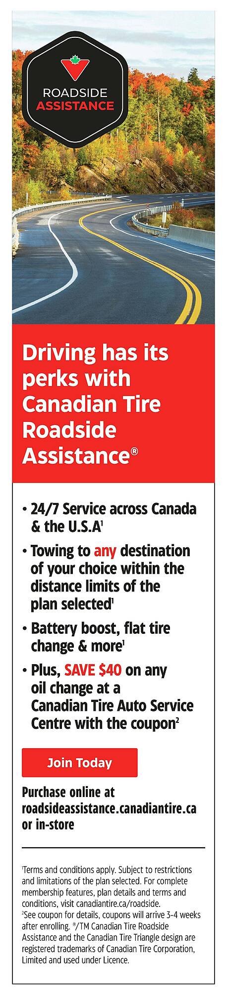 Canadian Tire flyer