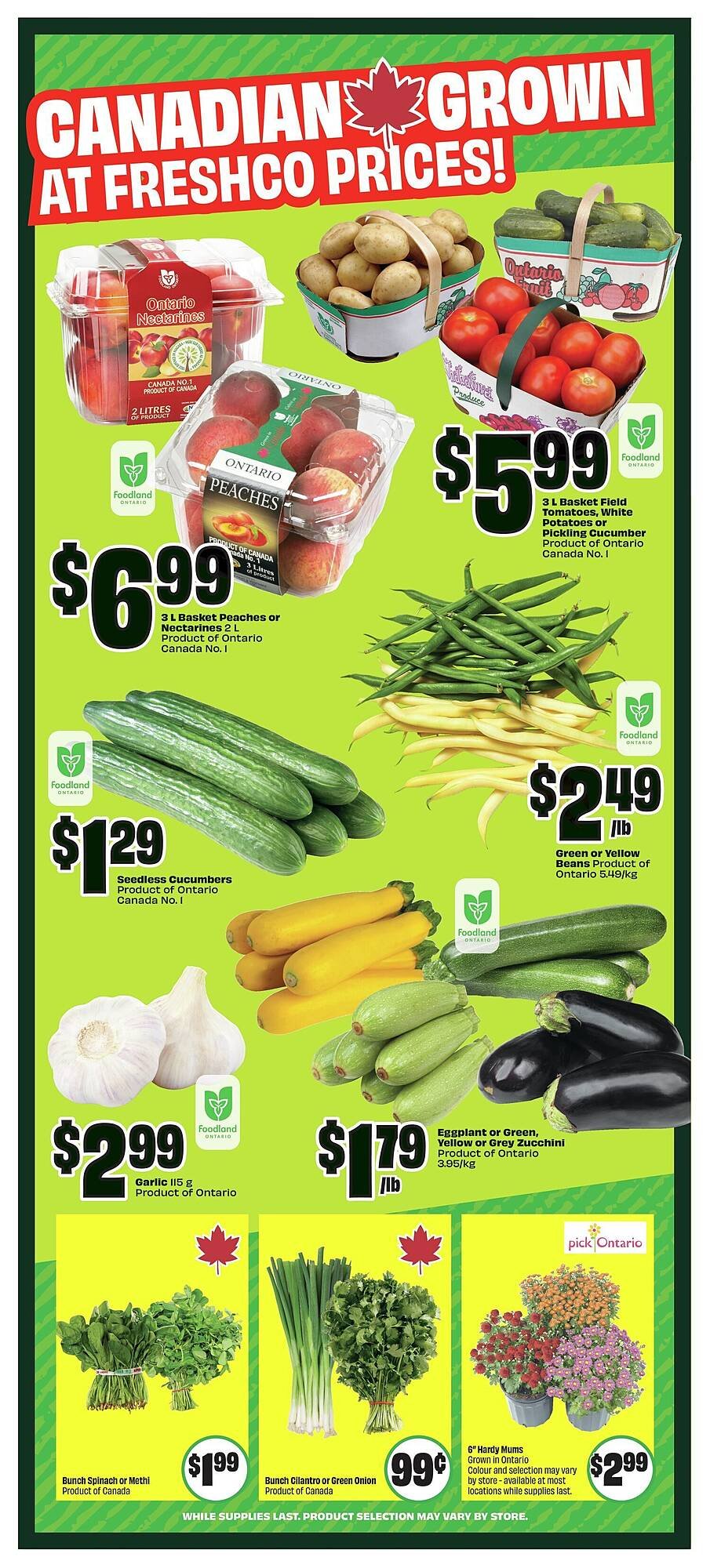 FreshCo flyer