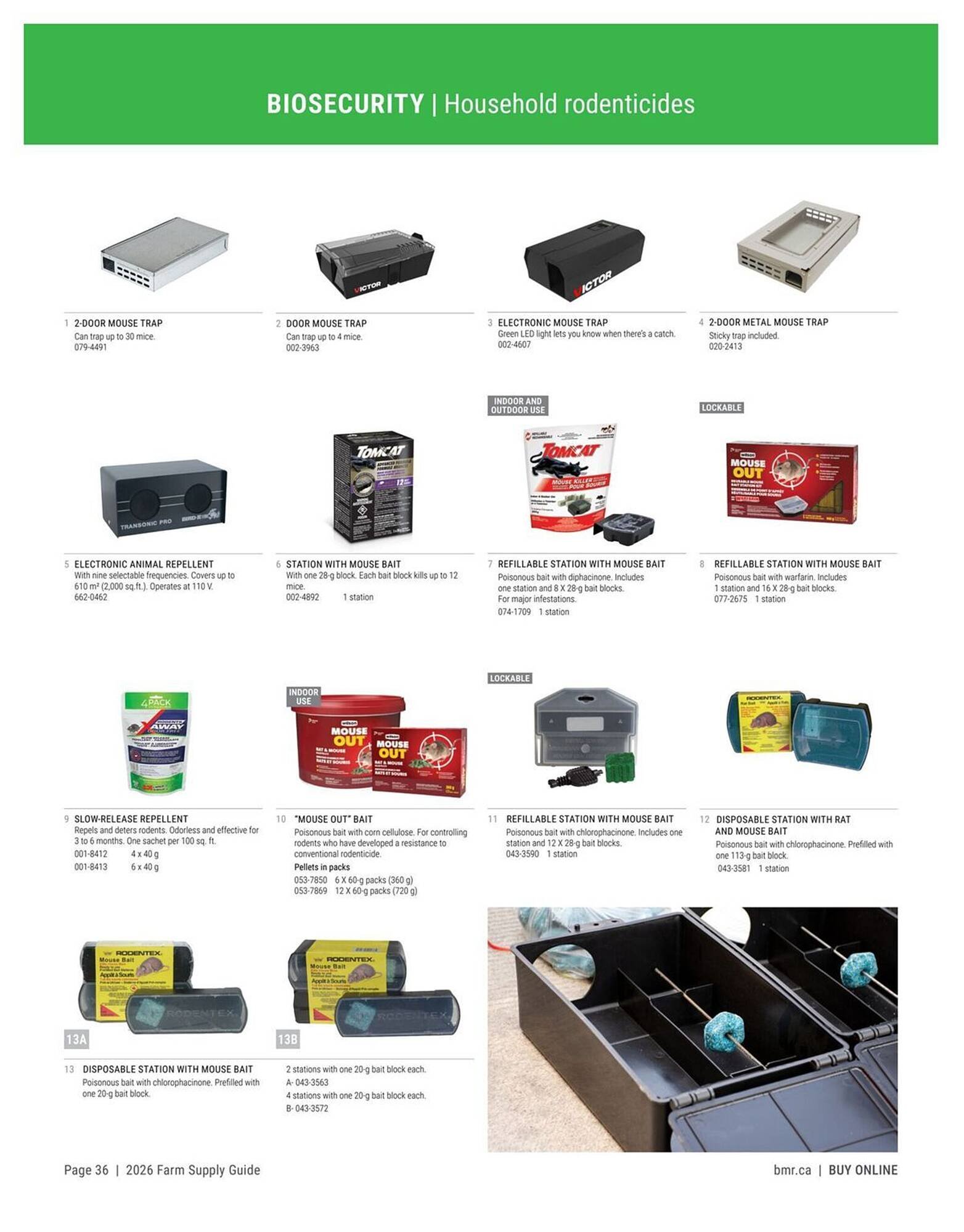 BMR flyer (2026-01-09 - 2026-12-31) | 36