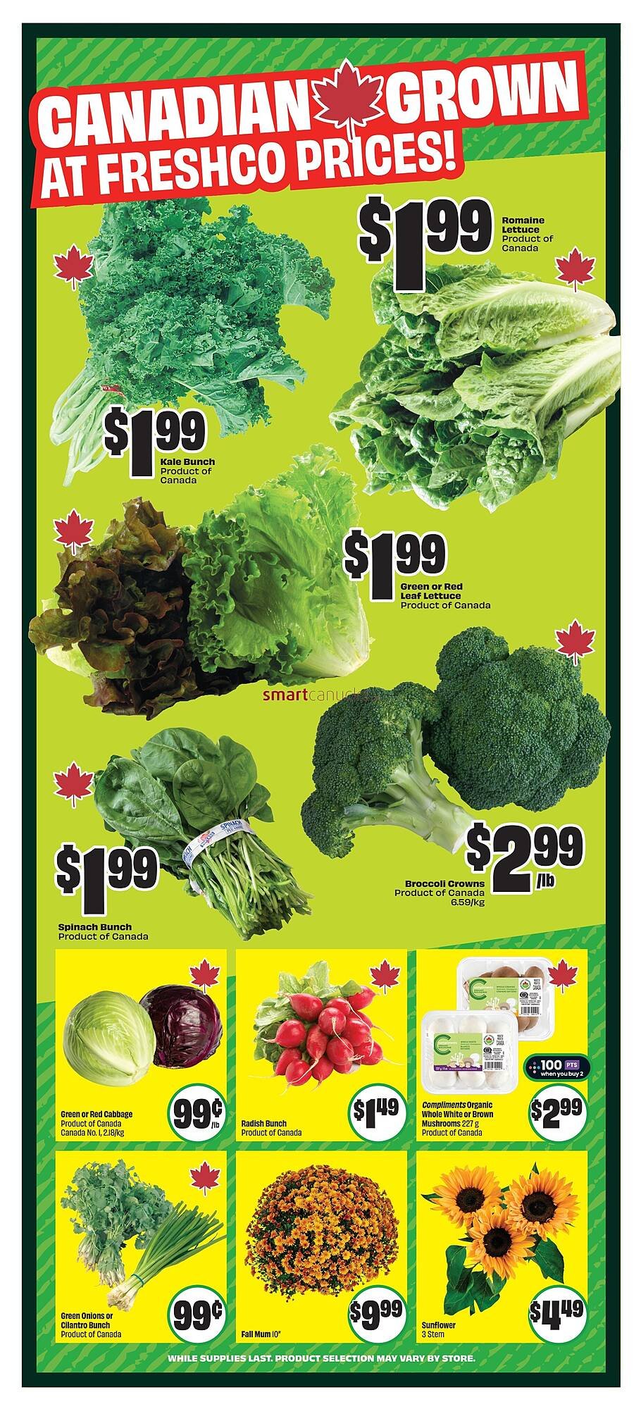FreshCo flyer