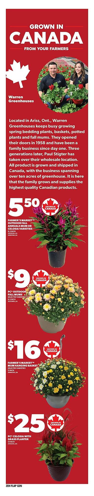 Zehrs Markets flyer