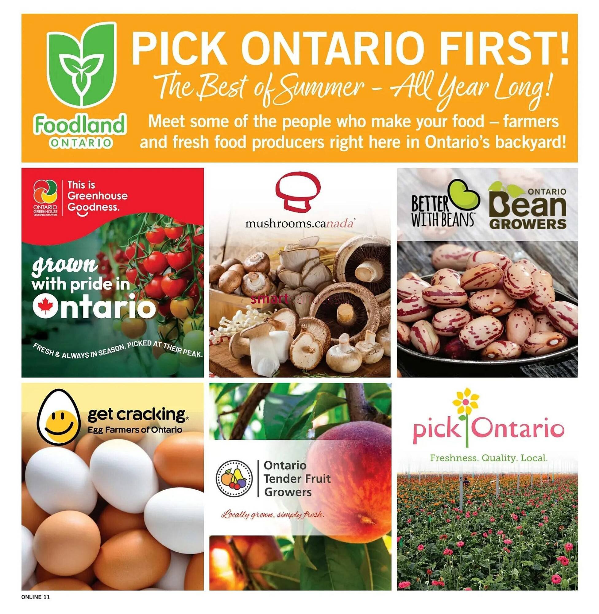 Fortinos flyer
