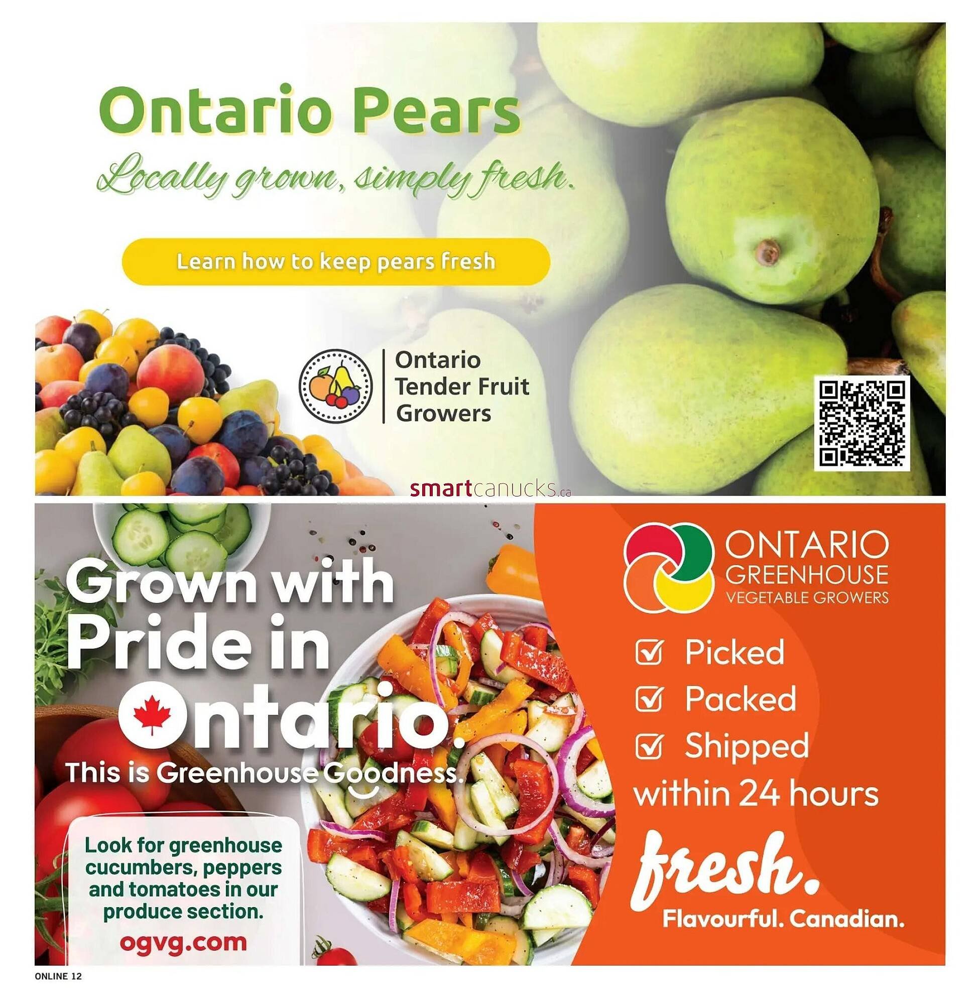 Fortinos flyer