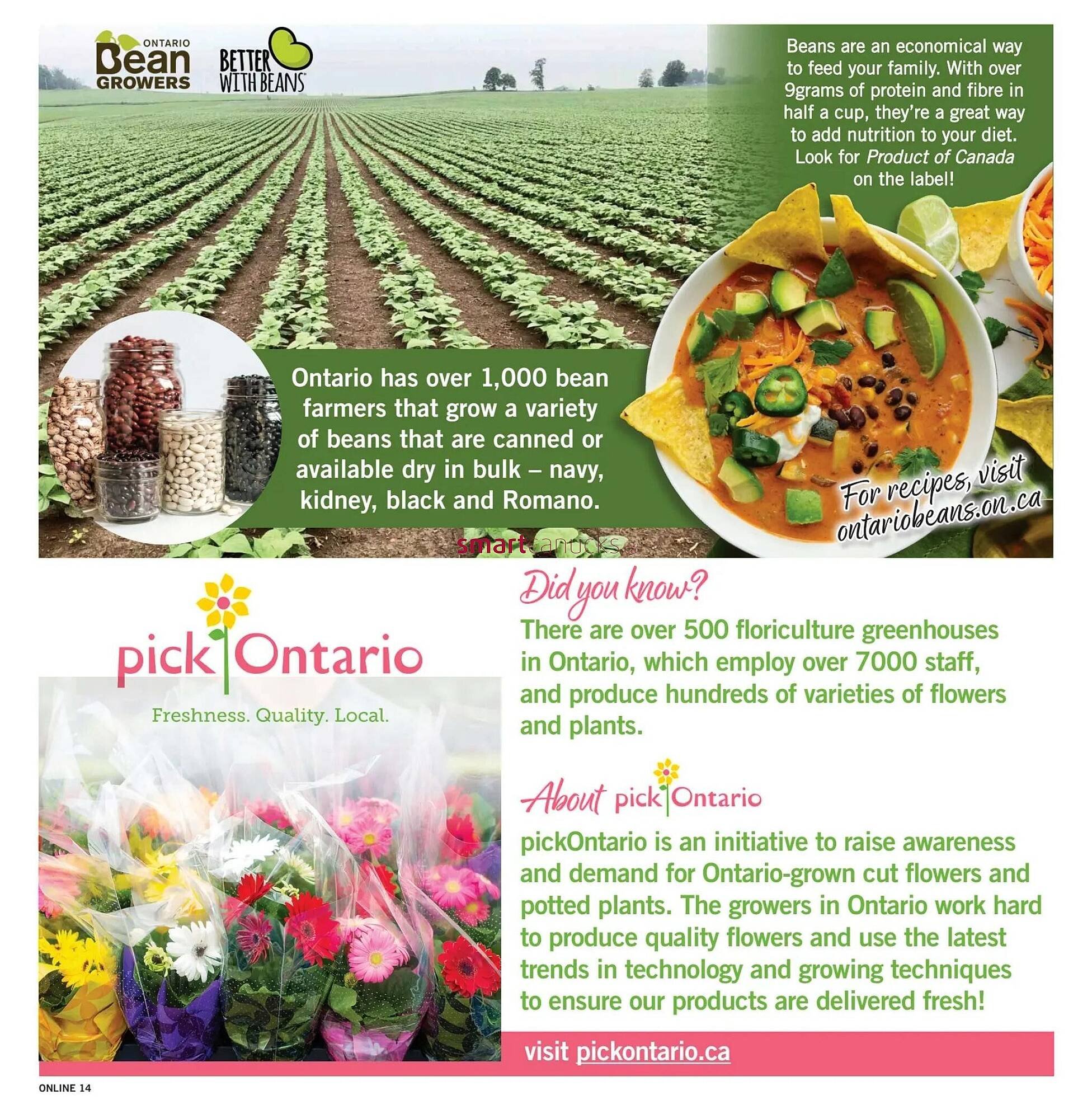 Fortinos flyer