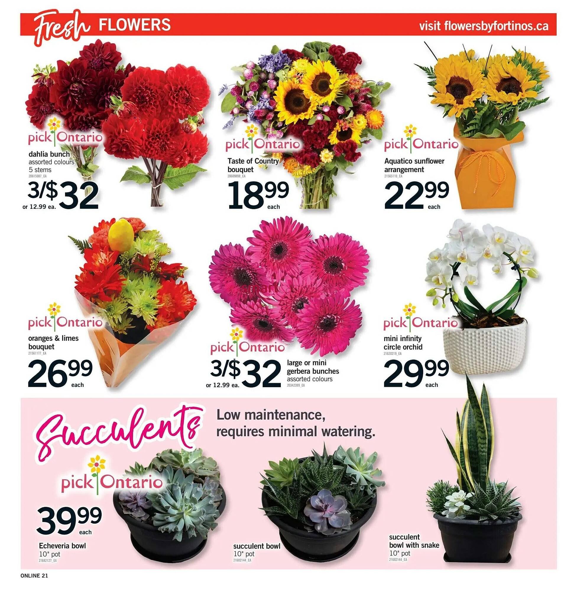 Fortinos flyer