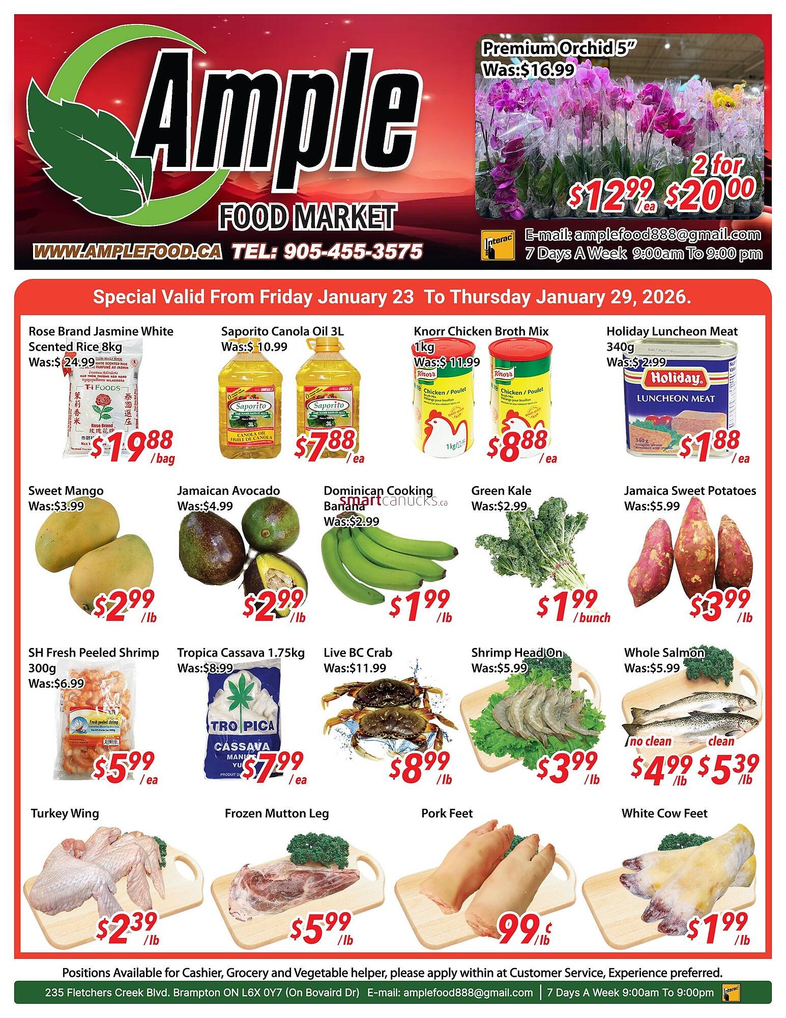 Ample Food Market flyer