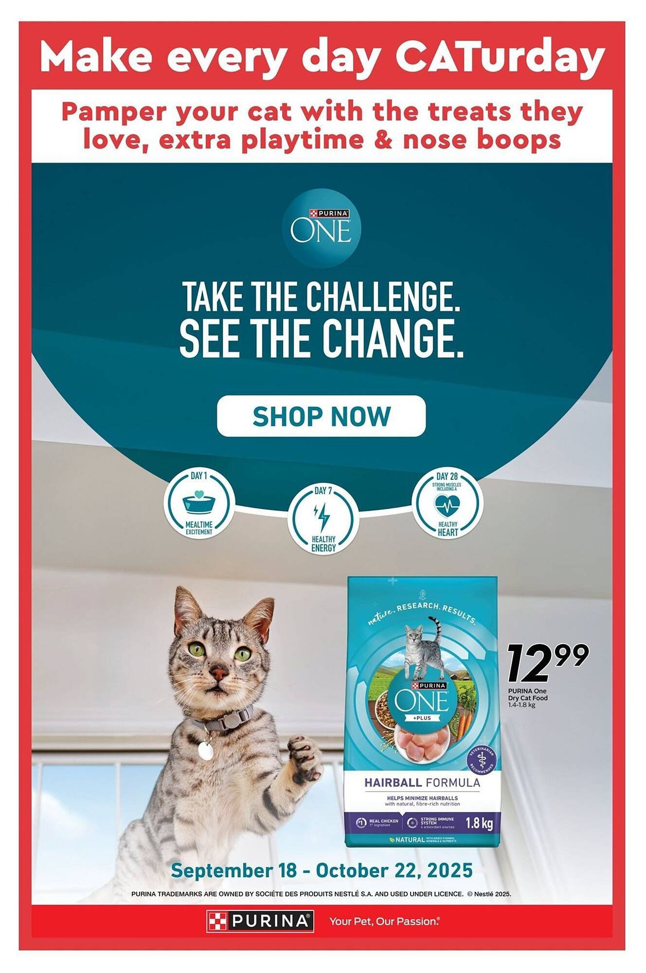 Safeway flyer