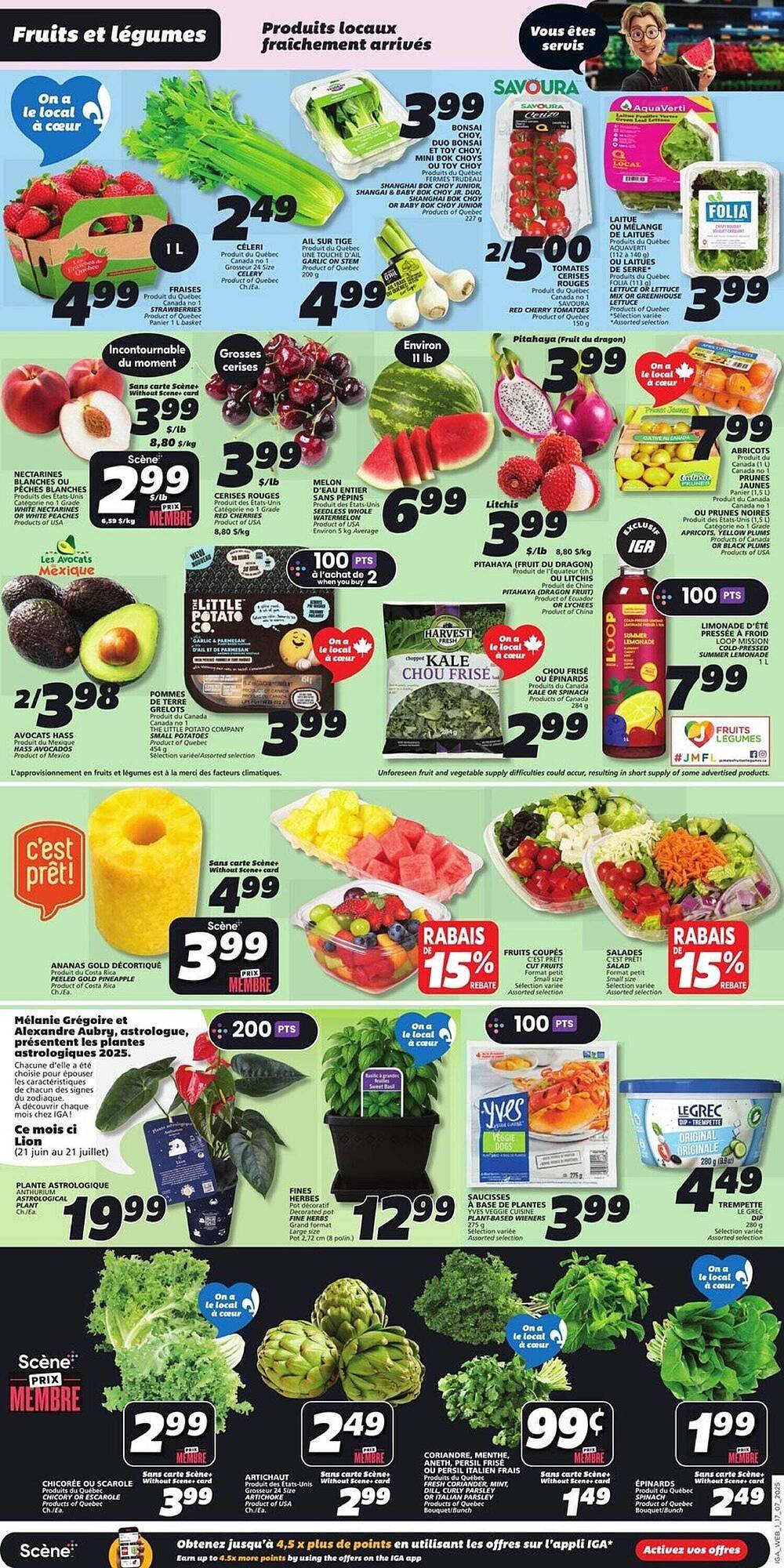 IGA flyer