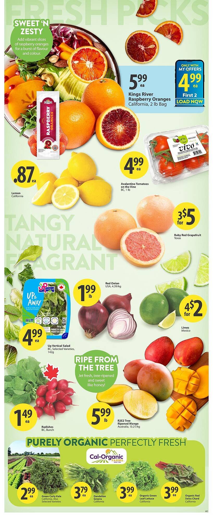 Save on Foods flyer (2026-01-01 - 2026-01-07) | 2