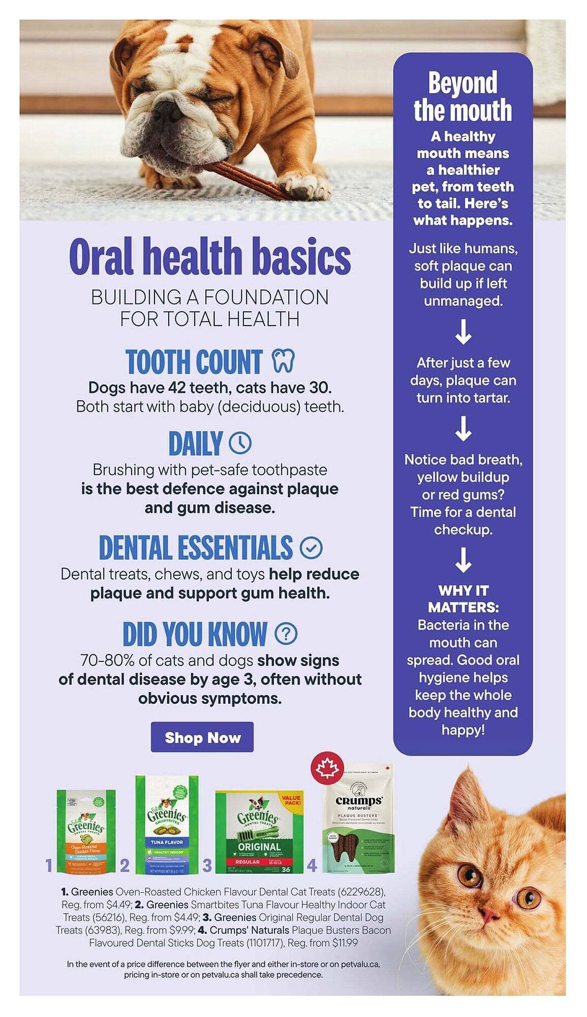 Petvalu flyer (2026-02-01 - 2026-03-01) | 2