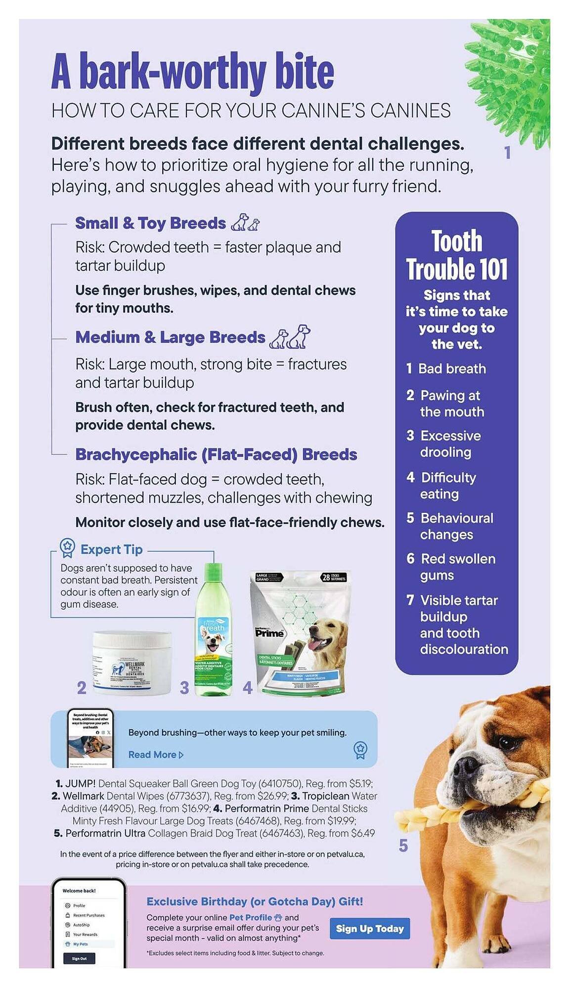 Petvalu flyer (2026-02-01 - 2026-03-01) | 4